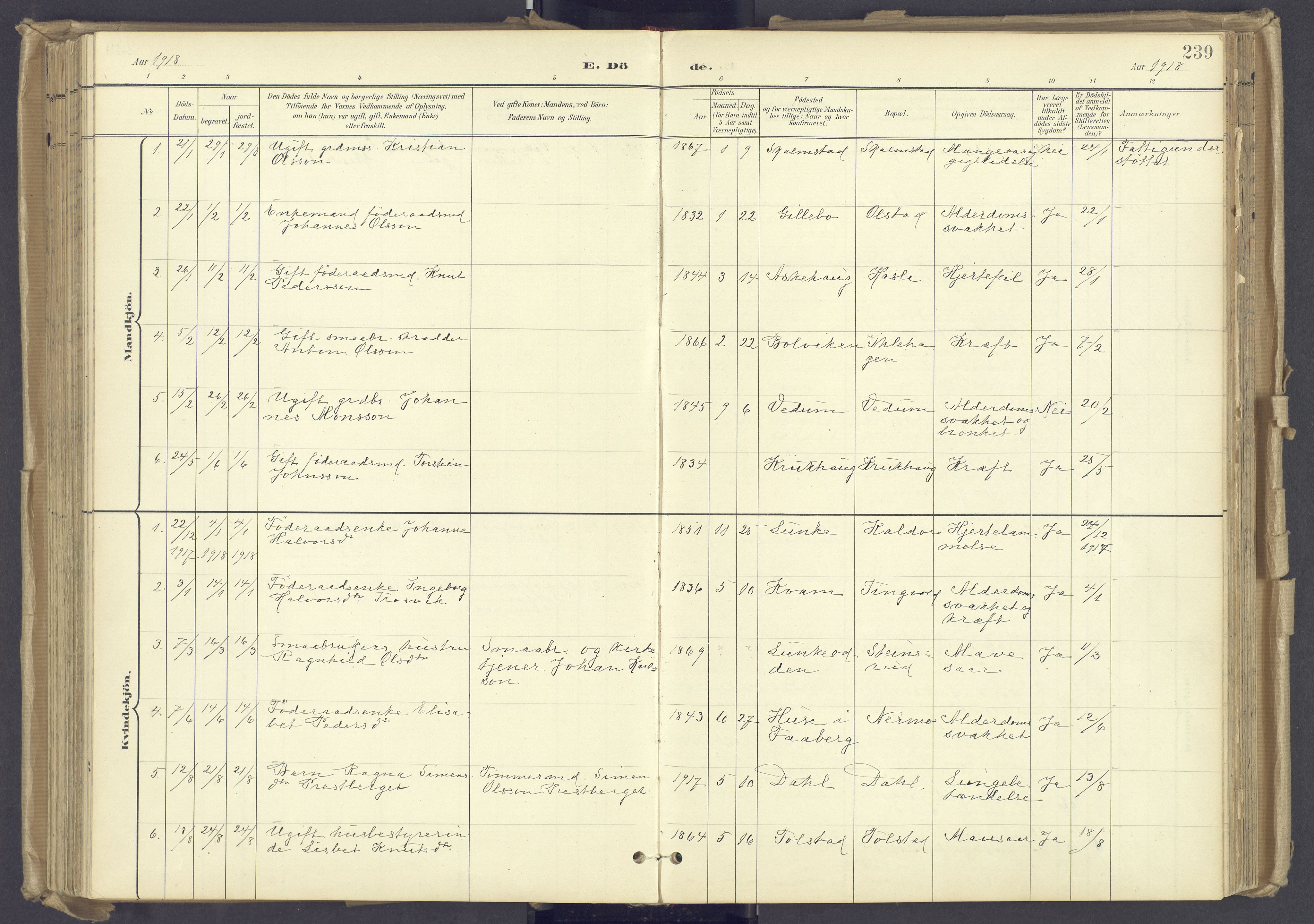 Øyer prestekontor, AV/SAH-PREST-084/H/Ha/Haa/L0012: Ministerialbok nr. 12, 1897-1920, s. 239