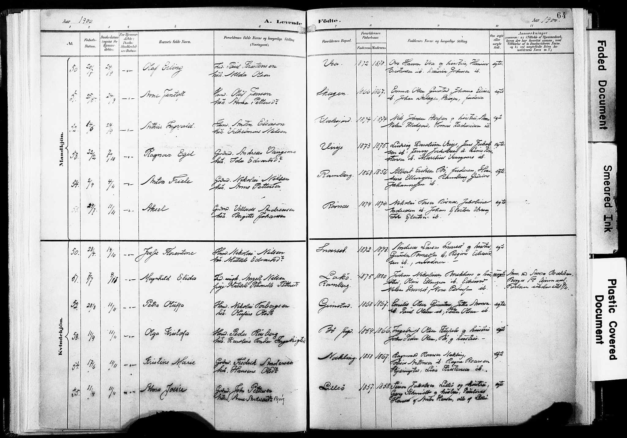Ministerialprotokoller, klokkerbøker og fødselsregistre - Nordland, AV/SAT-A-1459/891/L1304: Ministerialbok nr. 891A09, 1895-1921, s. 64
