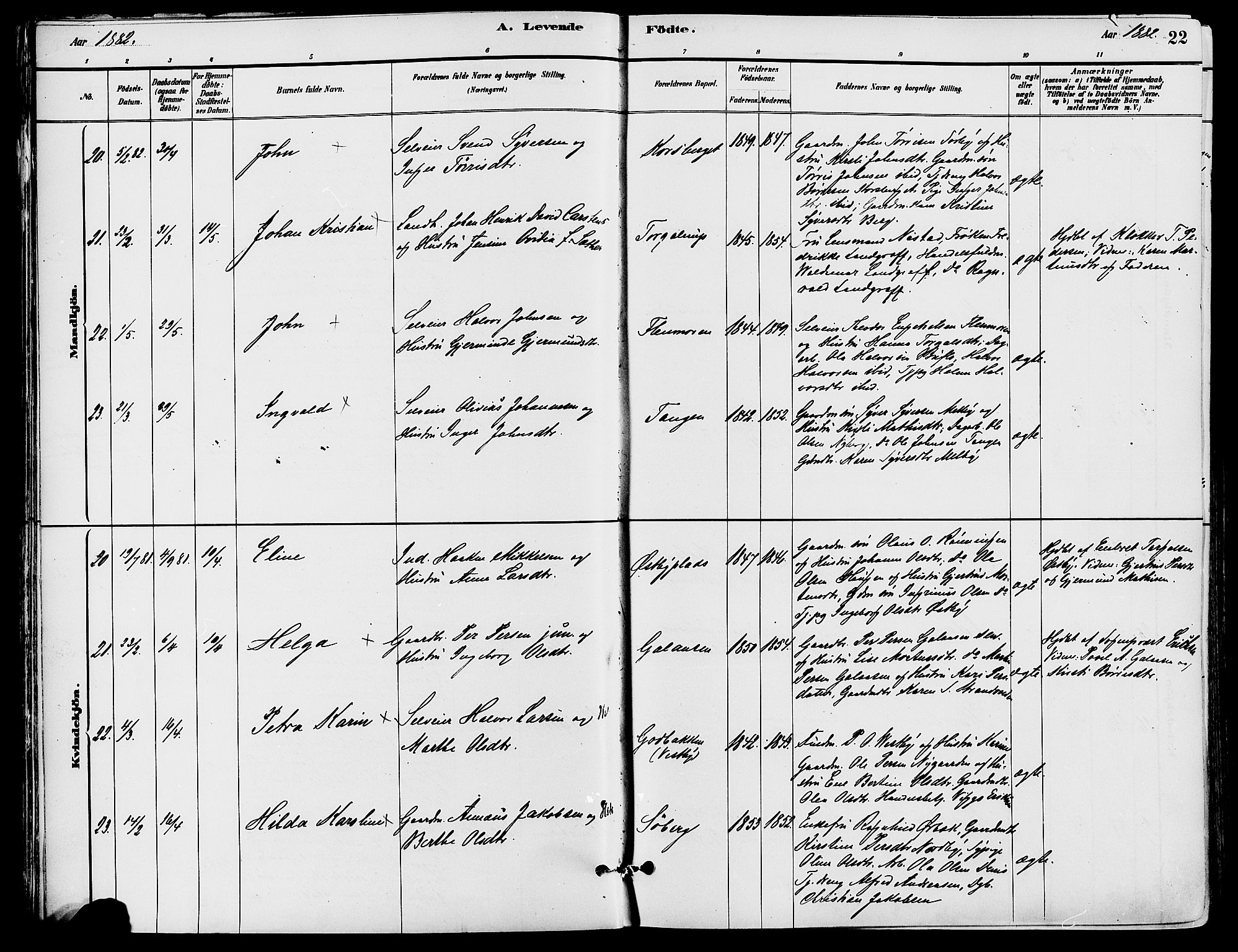 Trysil prestekontor, AV/SAH-PREST-046/H/Ha/Haa/L0008: Ministerialbok nr. 8, 1881-1897, s. 22