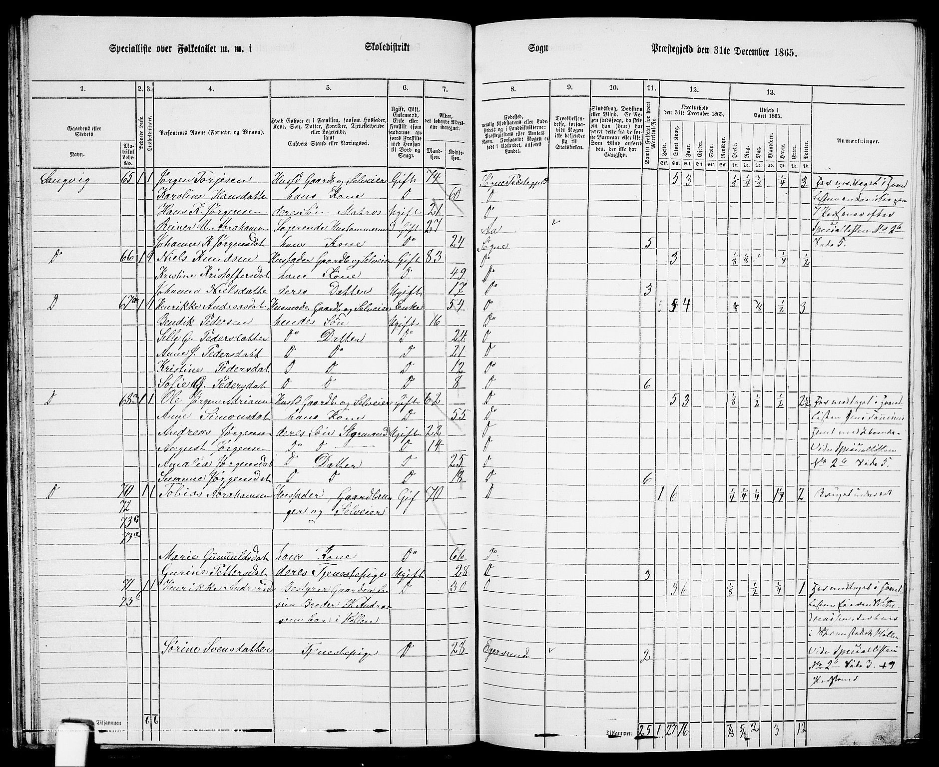 RA, Folketelling 1865 for 1018P Søgne prestegjeld, 1865, s. 46