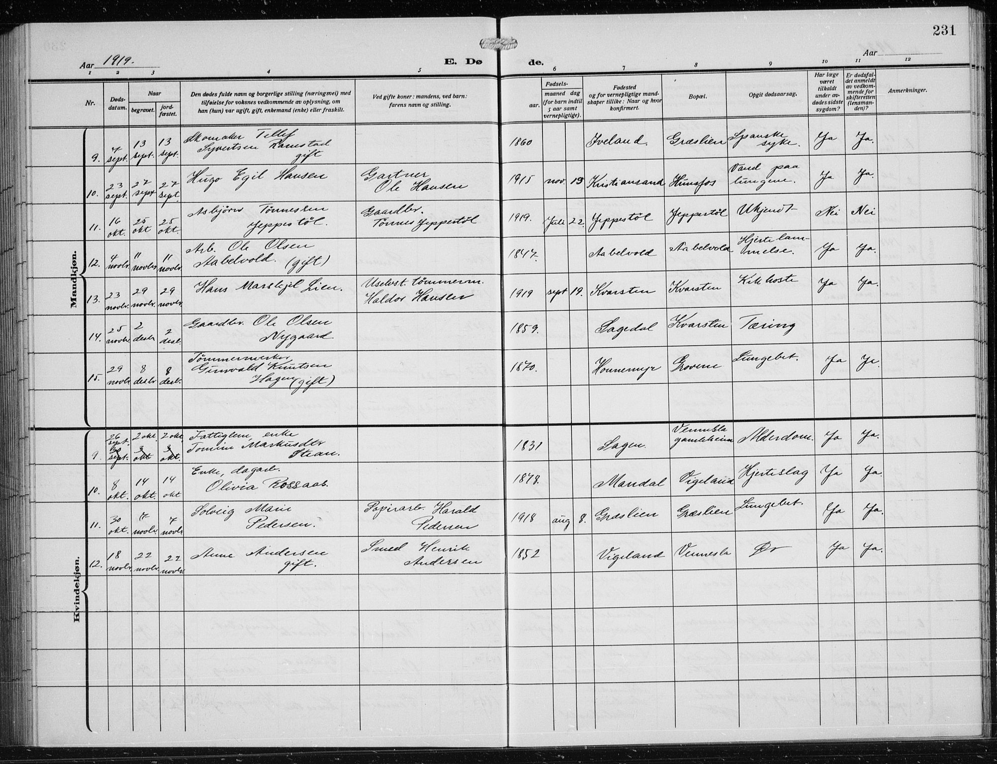 Vennesla sokneprestkontor, SAK/1111-0045/Fb/Fbb/L0006: Klokkerbok nr. B 6, 1914-1921, s. 231