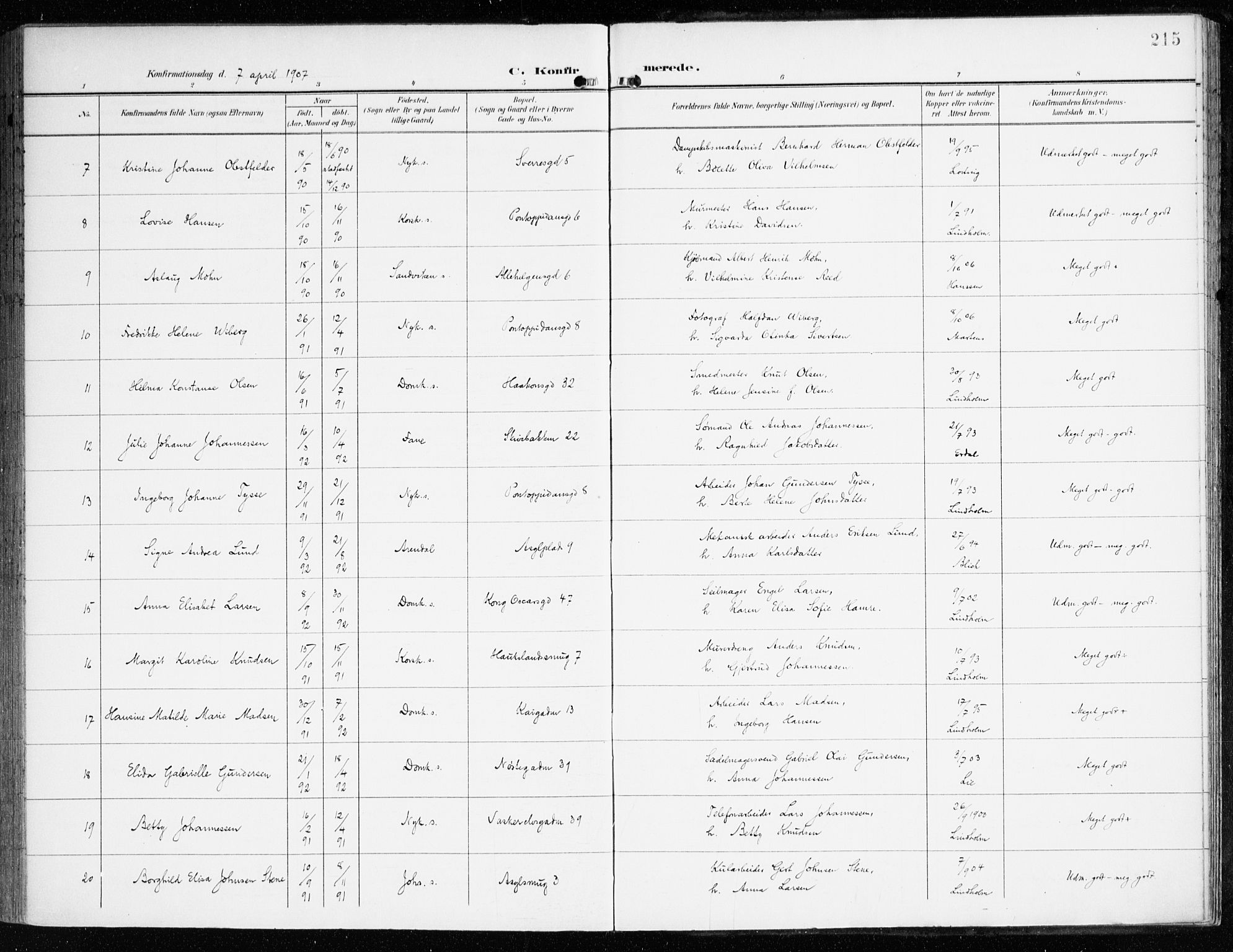 Domkirken sokneprestembete, AV/SAB-A-74801/H/Haa/L0031: Ministerialbok nr. C 6, 1898-1915, s. 215