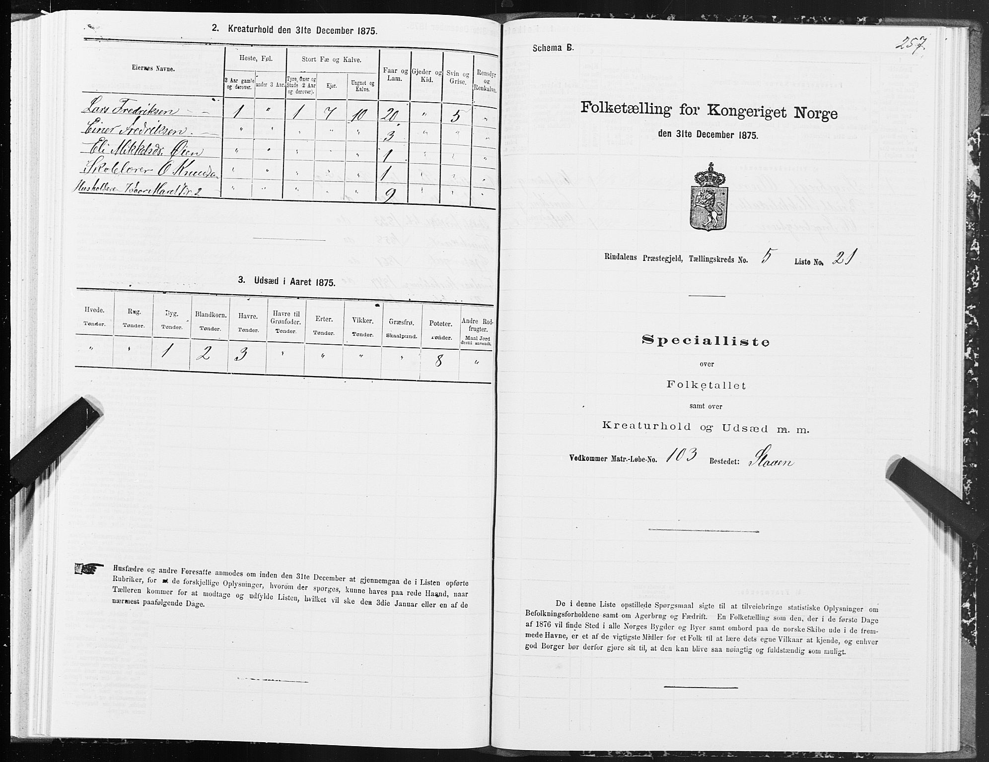 SAT, Folketelling 1875 for 1567P Rindal prestegjeld, 1875, s. 2257