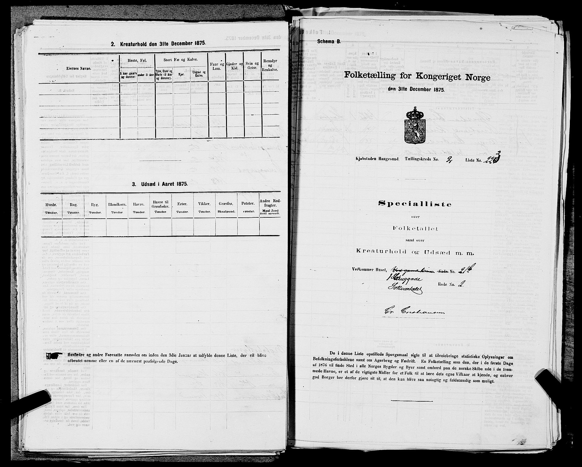 SAST, Folketelling 1875 for 1106B Torvastad prestegjeld, Haugesund kjøpstad, 1875, s. 517