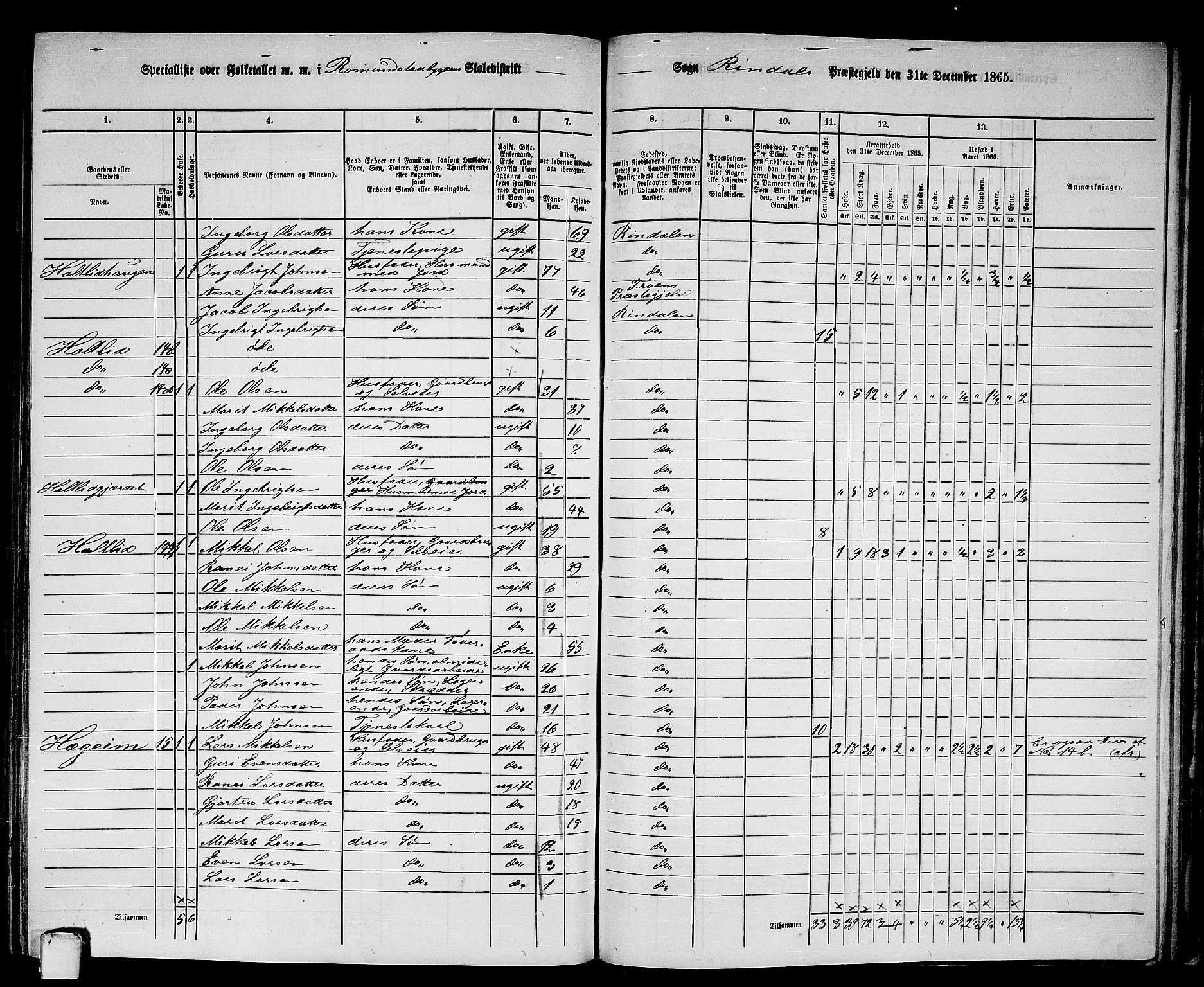 RA, Folketelling 1865 for 1567P Rindal prestegjeld, 1865, s. 75