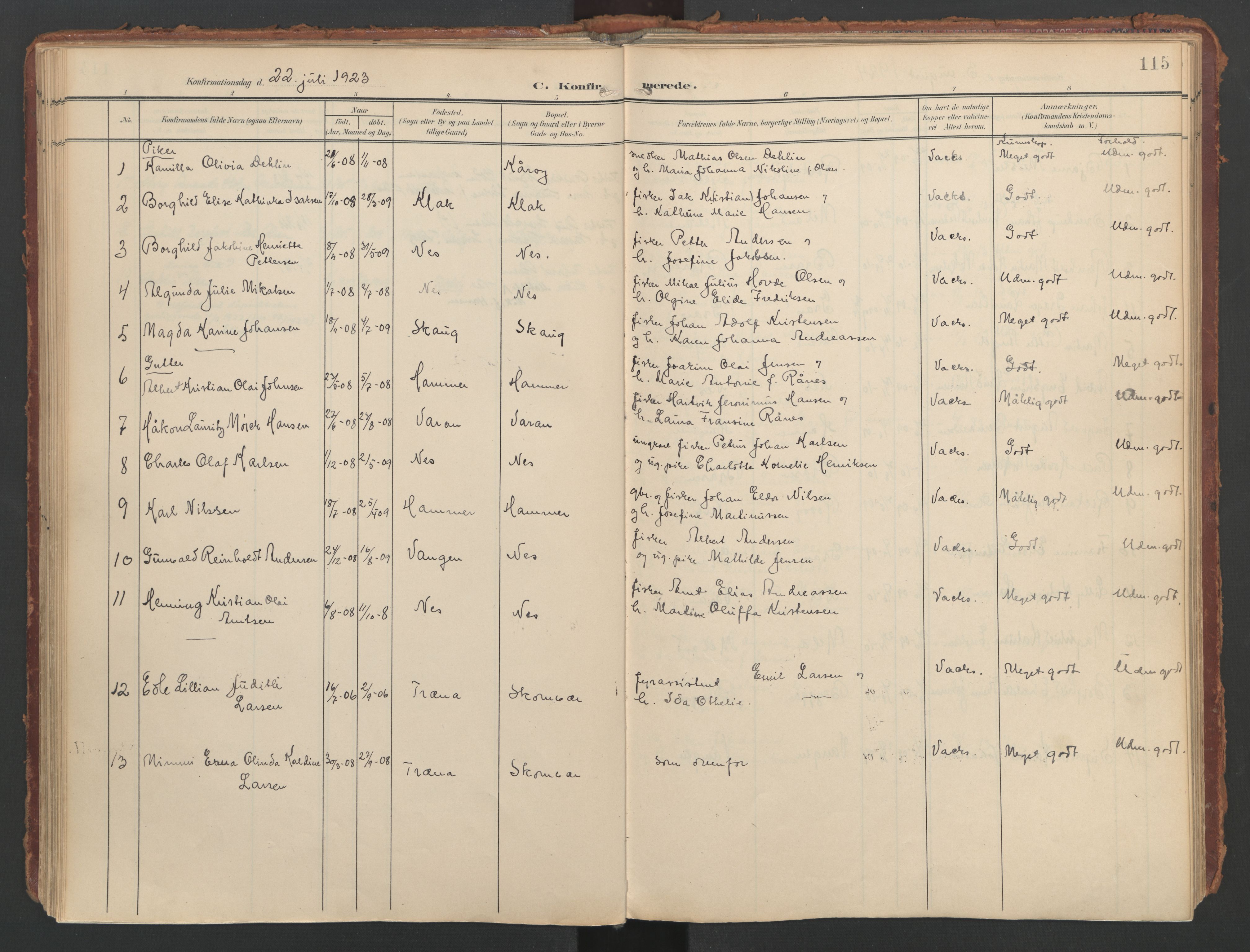 Ministerialprotokoller, klokkerbøker og fødselsregistre - Nordland, AV/SAT-A-1459/808/L0129: Ministerialbok nr. 808A02, 1903-1931, s. 115
