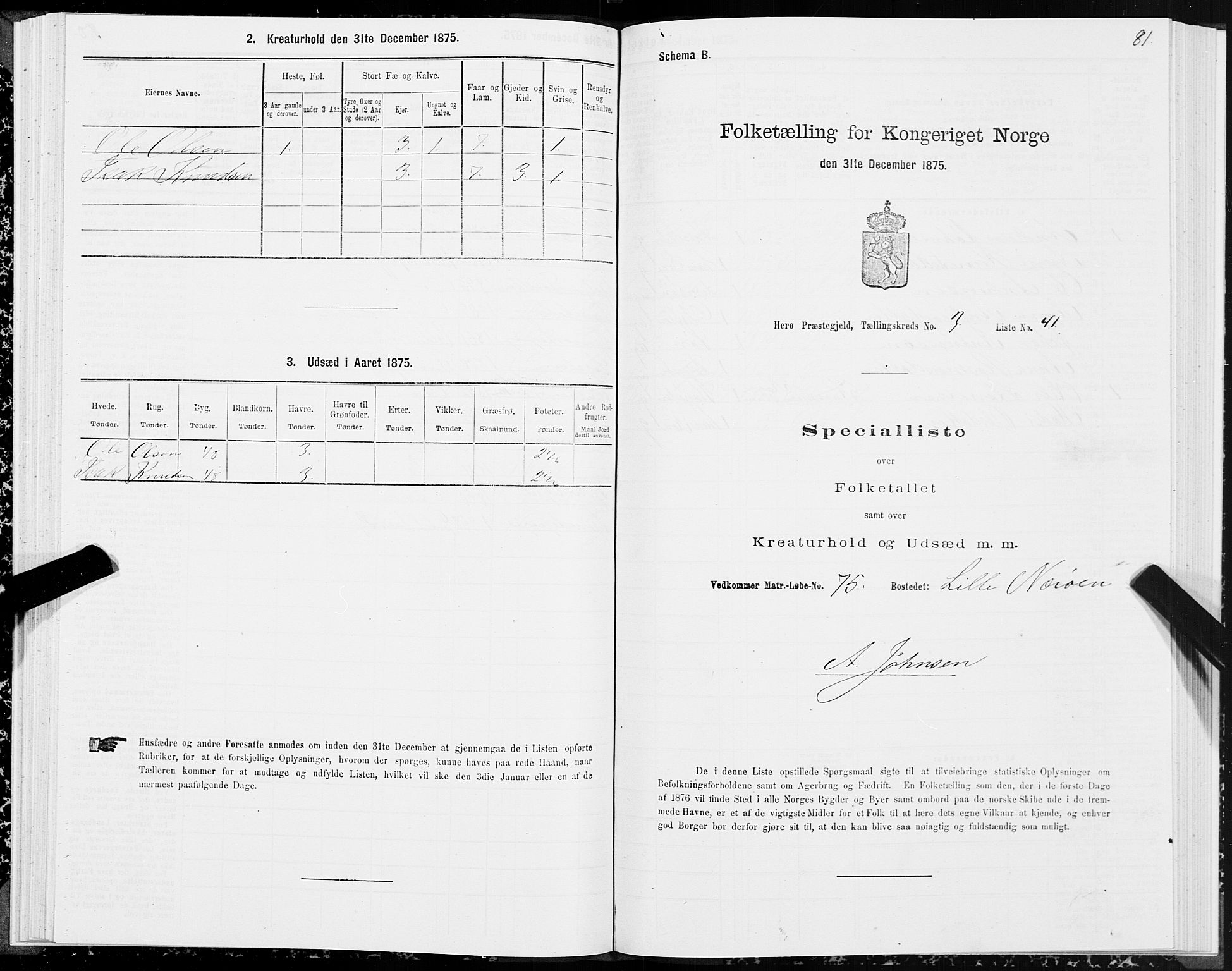 SAT, Folketelling 1875 for 1515P Herøy prestegjeld, 1875, s. 2081