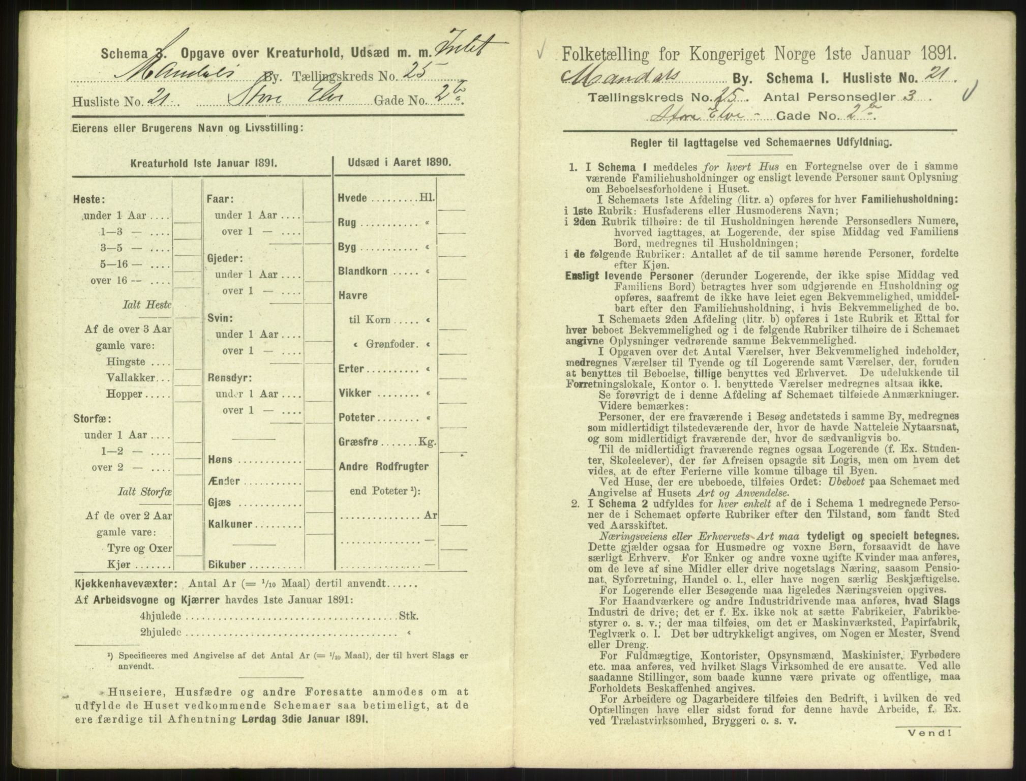 RA, Folketelling 1891 for 1002 Mandal ladested, 1891, s. 1143