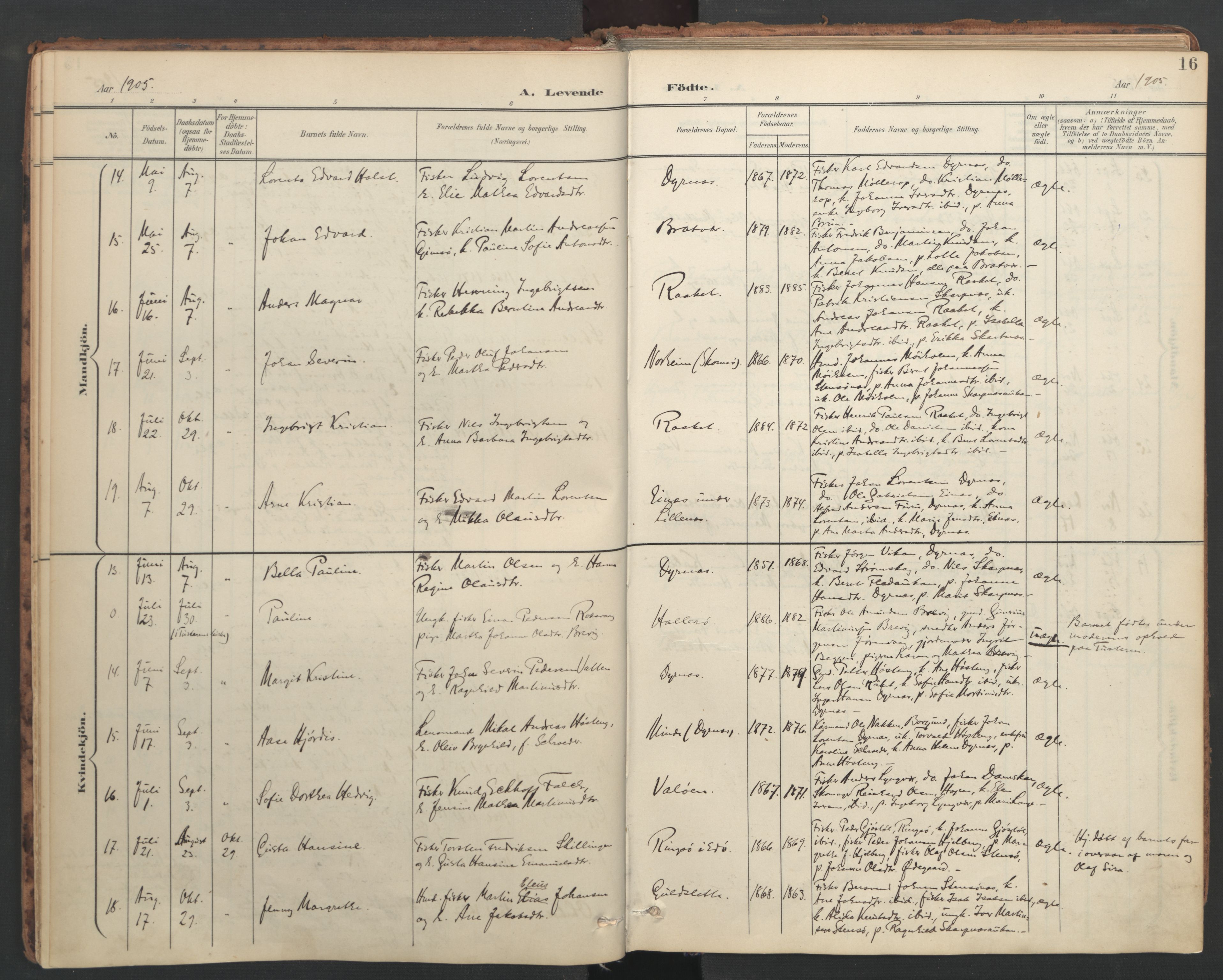 Ministerialprotokoller, klokkerbøker og fødselsregistre - Møre og Romsdal, AV/SAT-A-1454/582/L0948: Ministerialbok nr. 582A02, 1901-1922, s. 16