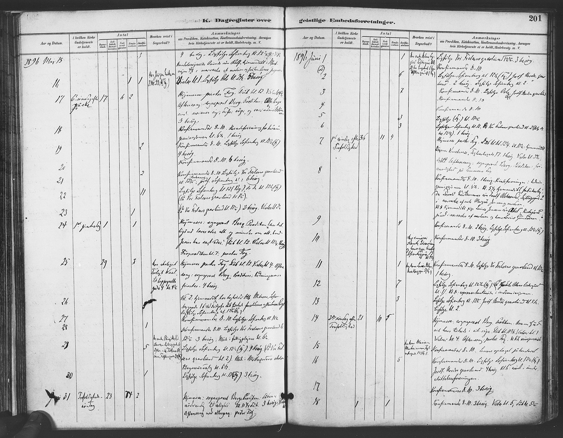Paulus prestekontor Kirkebøker, AV/SAO-A-10871/F/Fa/L0009: Ministerialbok nr. 9, 1891-1901, s. 201