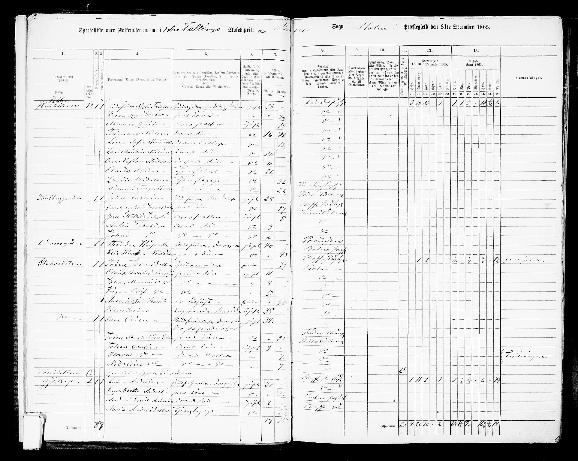 RA, Folketelling 1865 for 0715L Botne prestegjeld, Botne sokn og Hillestad sokn, 1865, s. 12