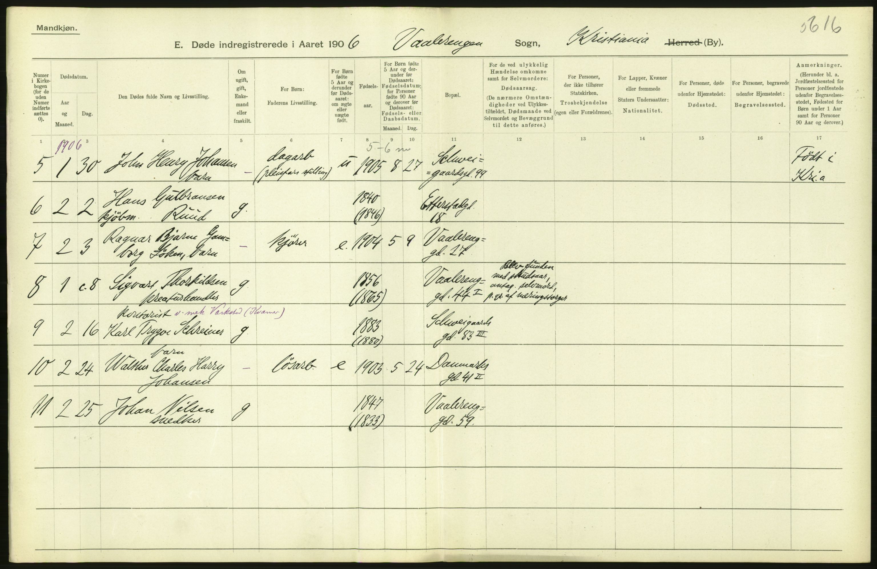 Statistisk sentralbyrå, Sosiodemografiske emner, Befolkning, RA/S-2228/D/Df/Dfa/Dfad/L0009: Kristiania: Døde, 1906, s. 228