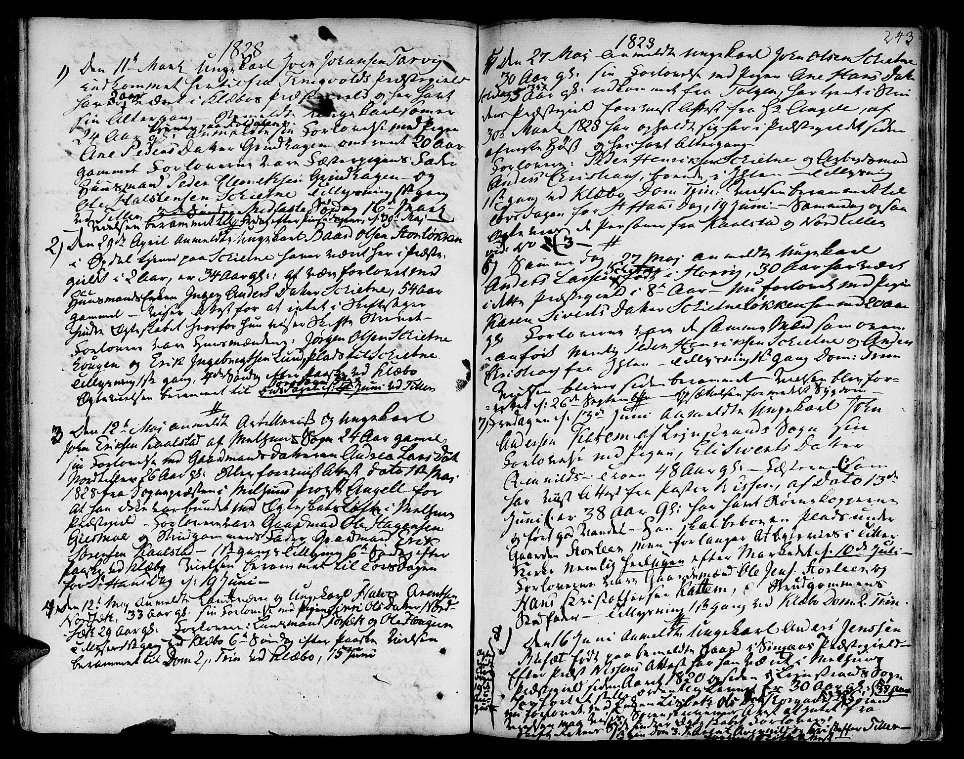 Ministerialprotokoller, klokkerbøker og fødselsregistre - Sør-Trøndelag, AV/SAT-A-1456/618/L0438: Ministerialbok nr. 618A03, 1783-1815, s. 243