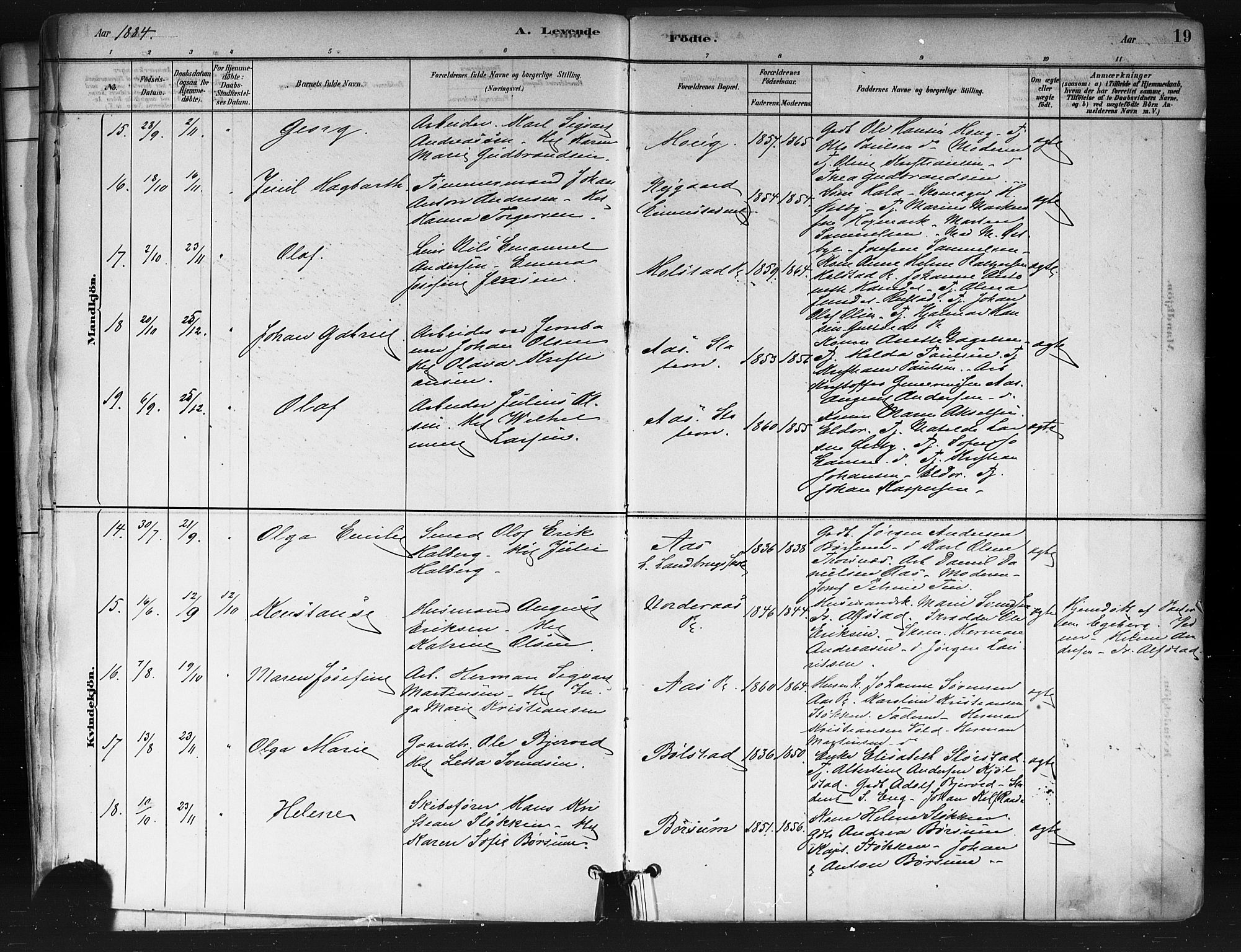 Ås prestekontor Kirkebøker, AV/SAO-A-10894/F/Fa/L0009: Ministerialbok nr. I 9, 1881-1900, s. 19