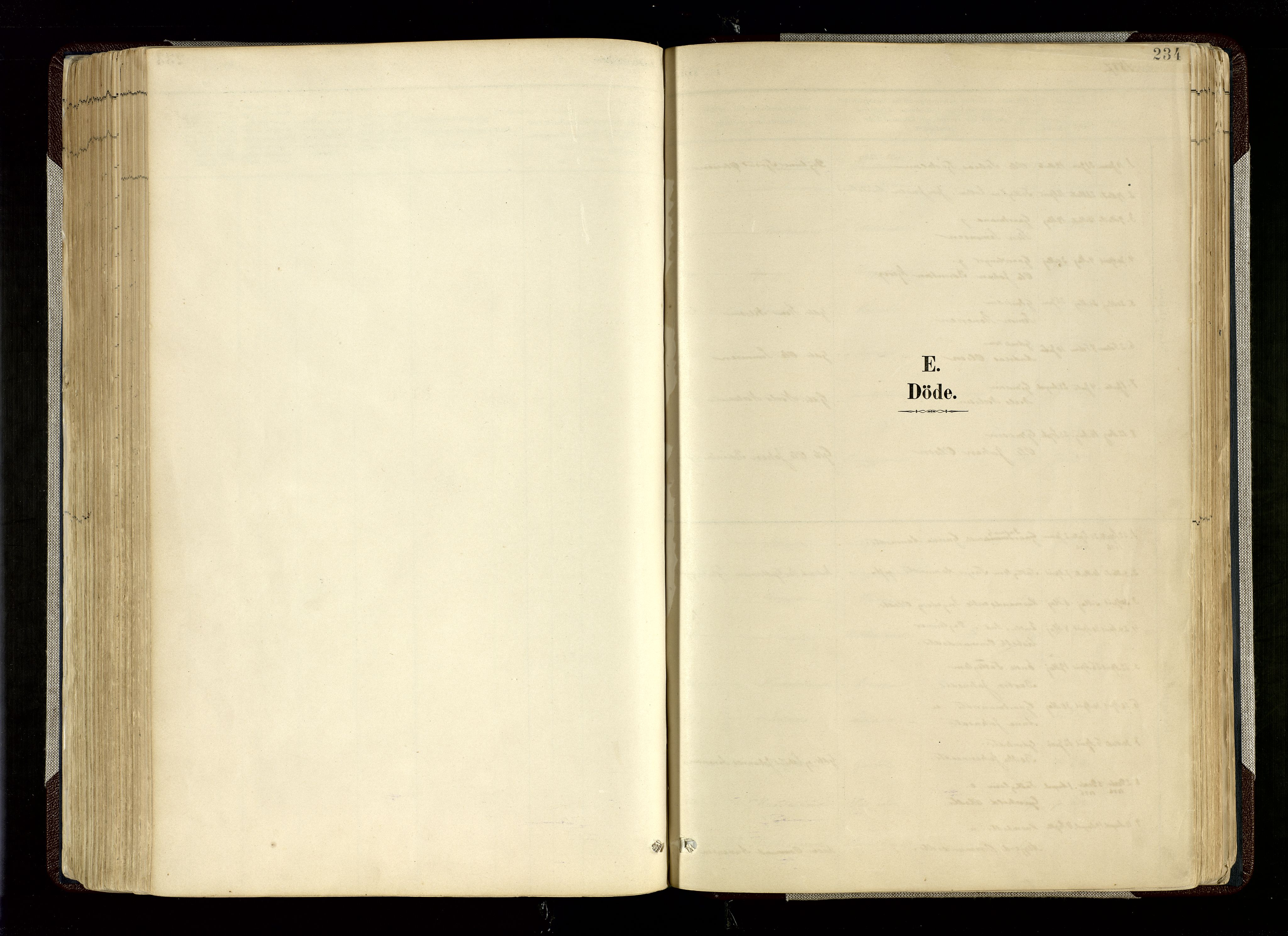 Hægebostad sokneprestkontor, AV/SAK-1111-0024/F/Fa/Fab/L0004: Ministerialbok nr. A 4, 1887-1929, s. 234