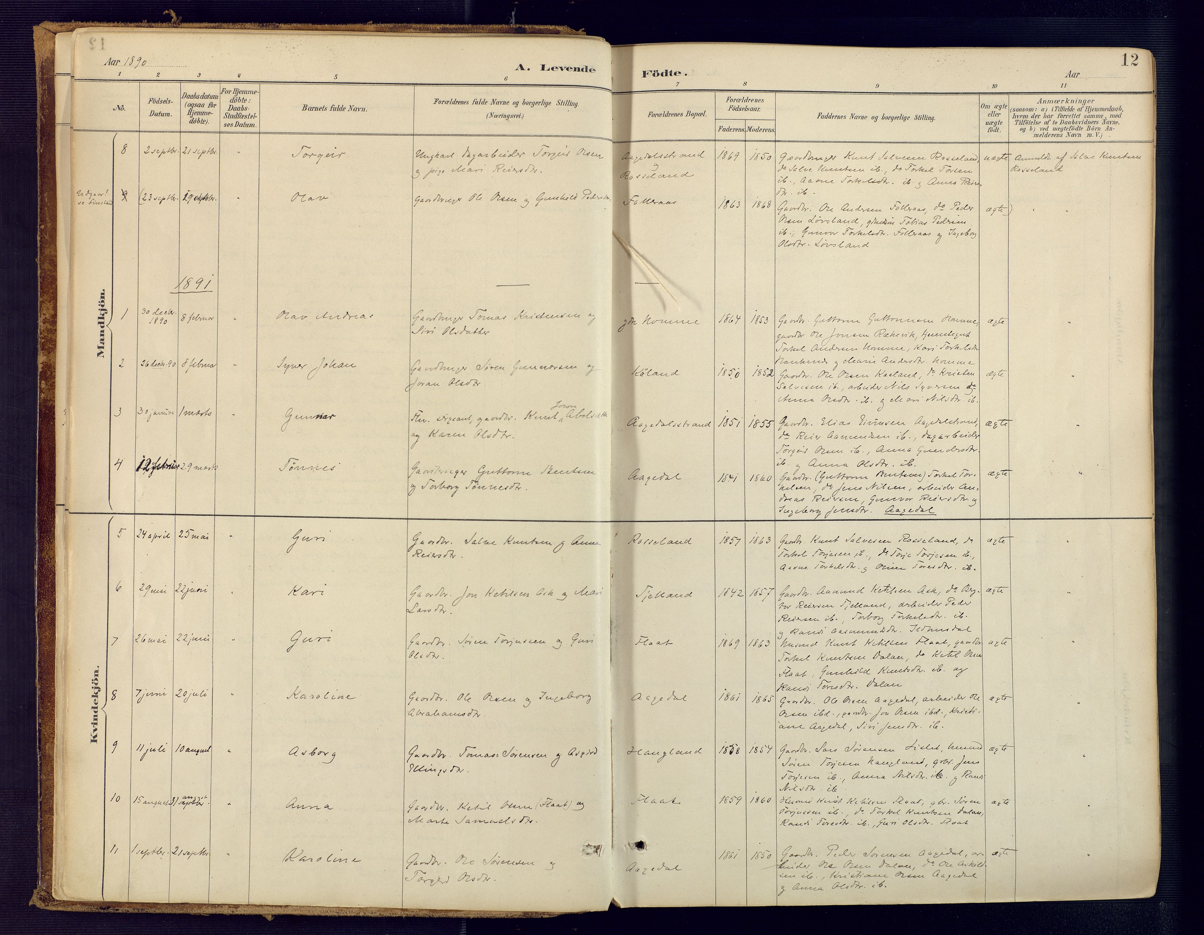 Bjelland sokneprestkontor, AV/SAK-1111-0005/F/Fa/Faa/L0004: Ministerialbok nr. A 4, 1887-1923, s. 12