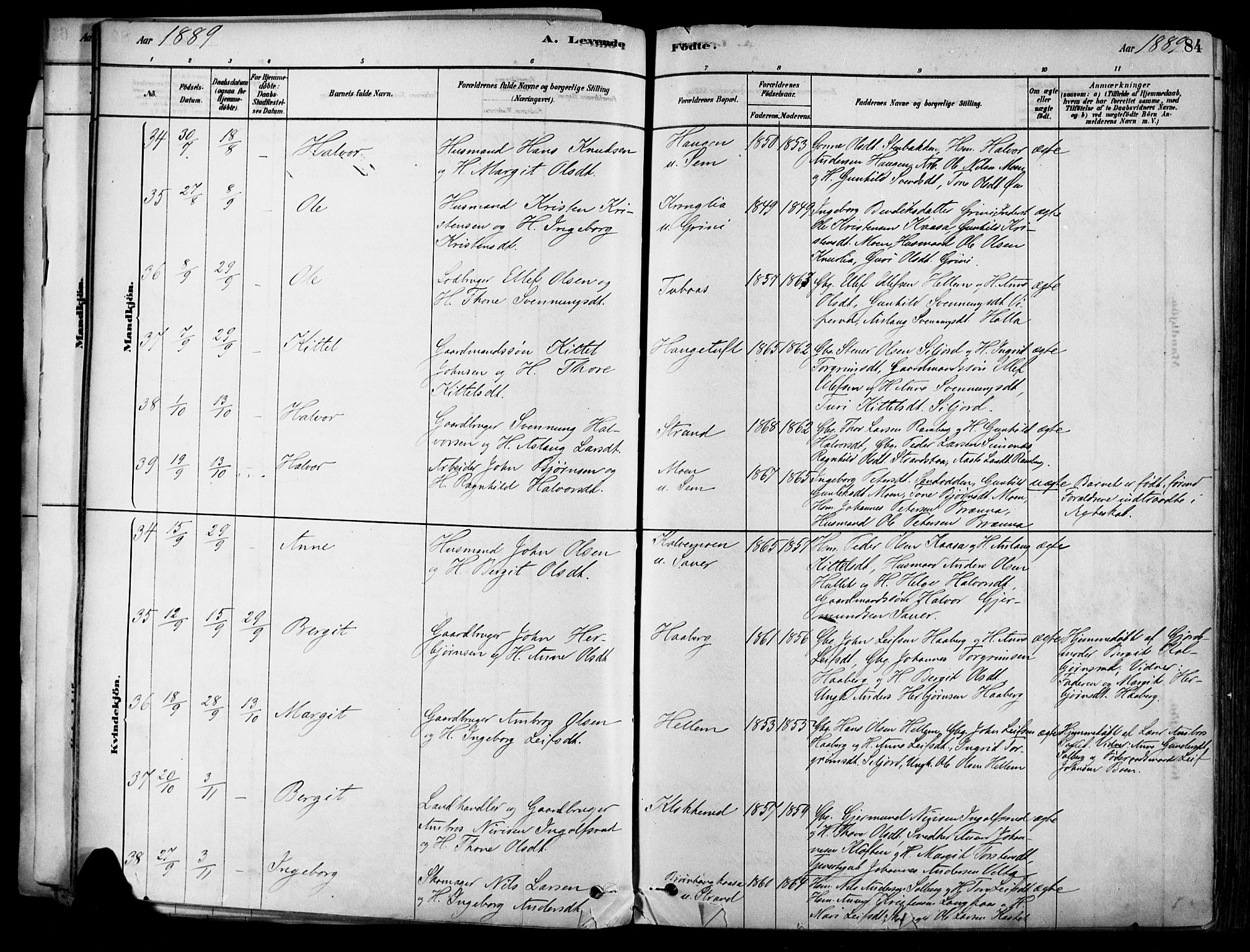 Heddal kirkebøker, SAKO/A-268/F/Fa/L0008: Ministerialbok nr. I 8, 1878-1903, s. 84