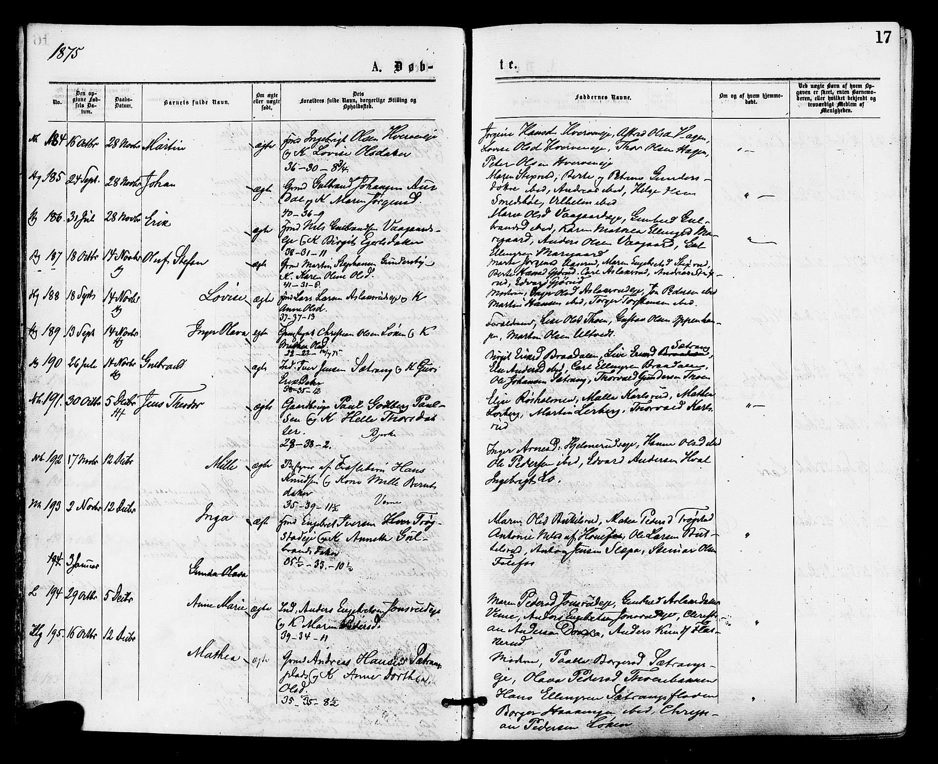 Norderhov kirkebøker, AV/SAKO-A-237/F/Fa/L0015: Ministerialbok nr. 15, 1875-1884, s. 17