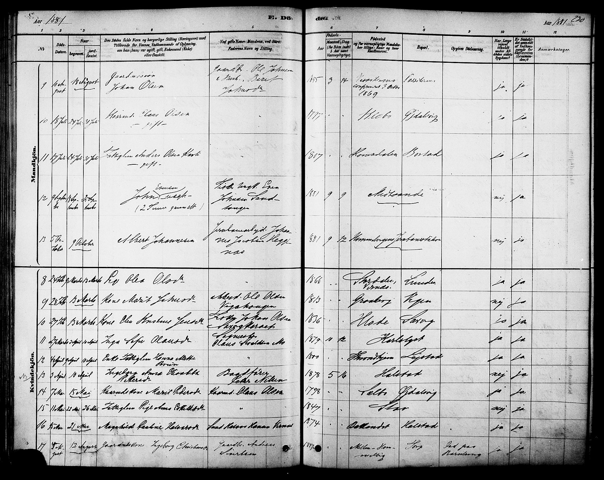 Ministerialprotokoller, klokkerbøker og fødselsregistre - Sør-Trøndelag, SAT/A-1456/616/L0410: Ministerialbok nr. 616A07, 1878-1893, s. 230