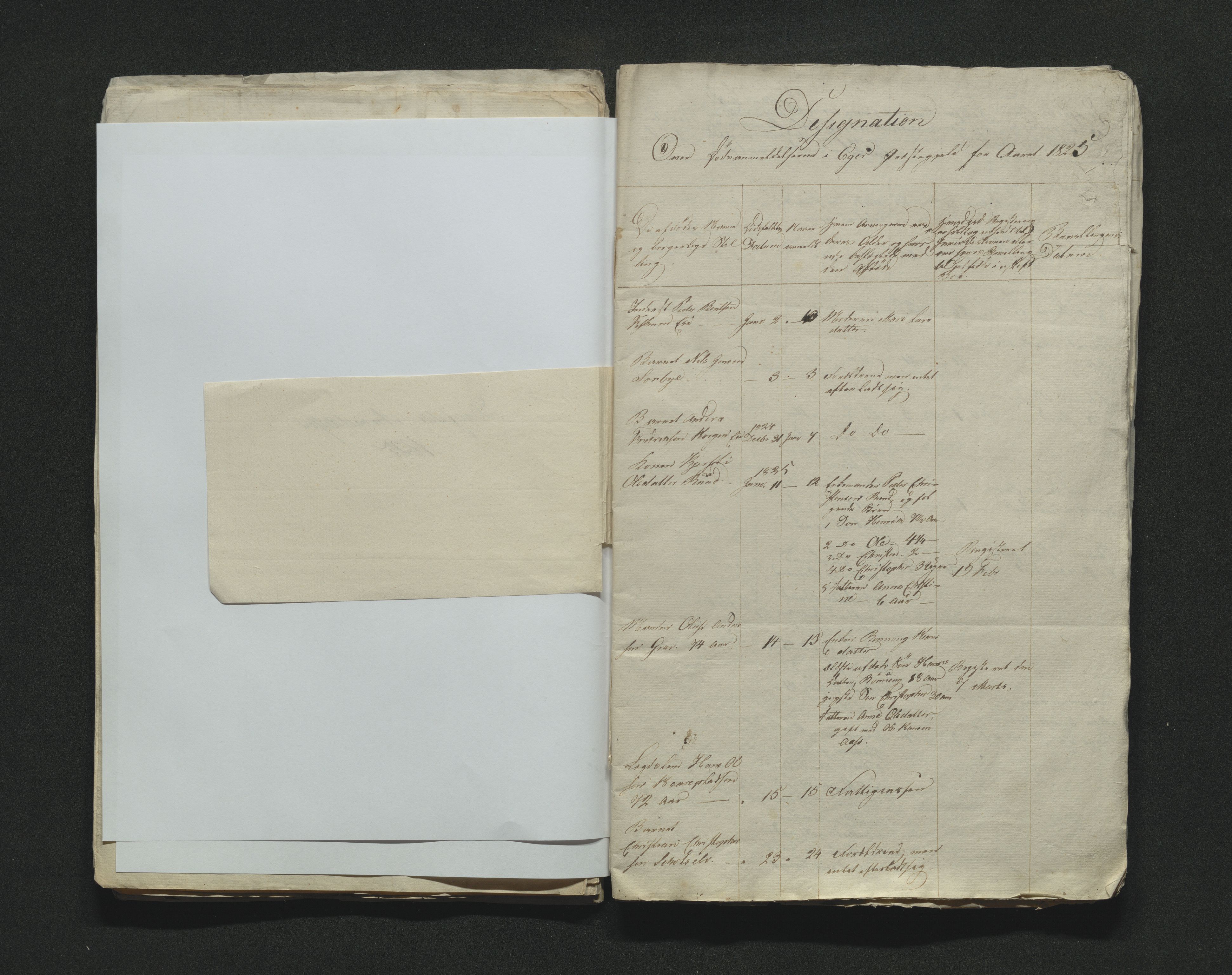 Eiker, Modum og Sigdal sorenskriveri, AV/SAKO-A-123/H/Ha/Hab/L0002: Dødsfallsmeldinger, 1823-1829, s. 38