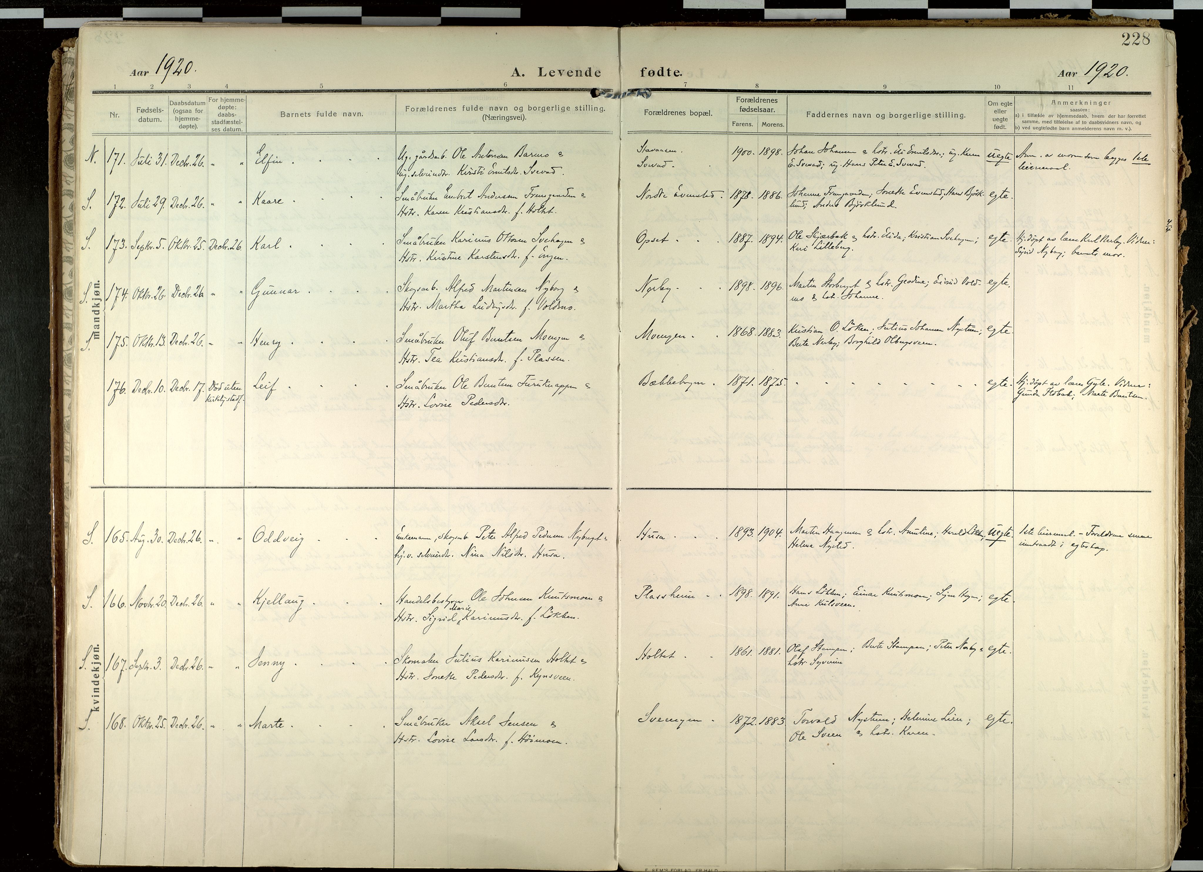 Elverum prestekontor, SAH/PREST-044/H/Ha/Haa/L0020: Ministerialbok nr. 20, 1909-1921, s. 228