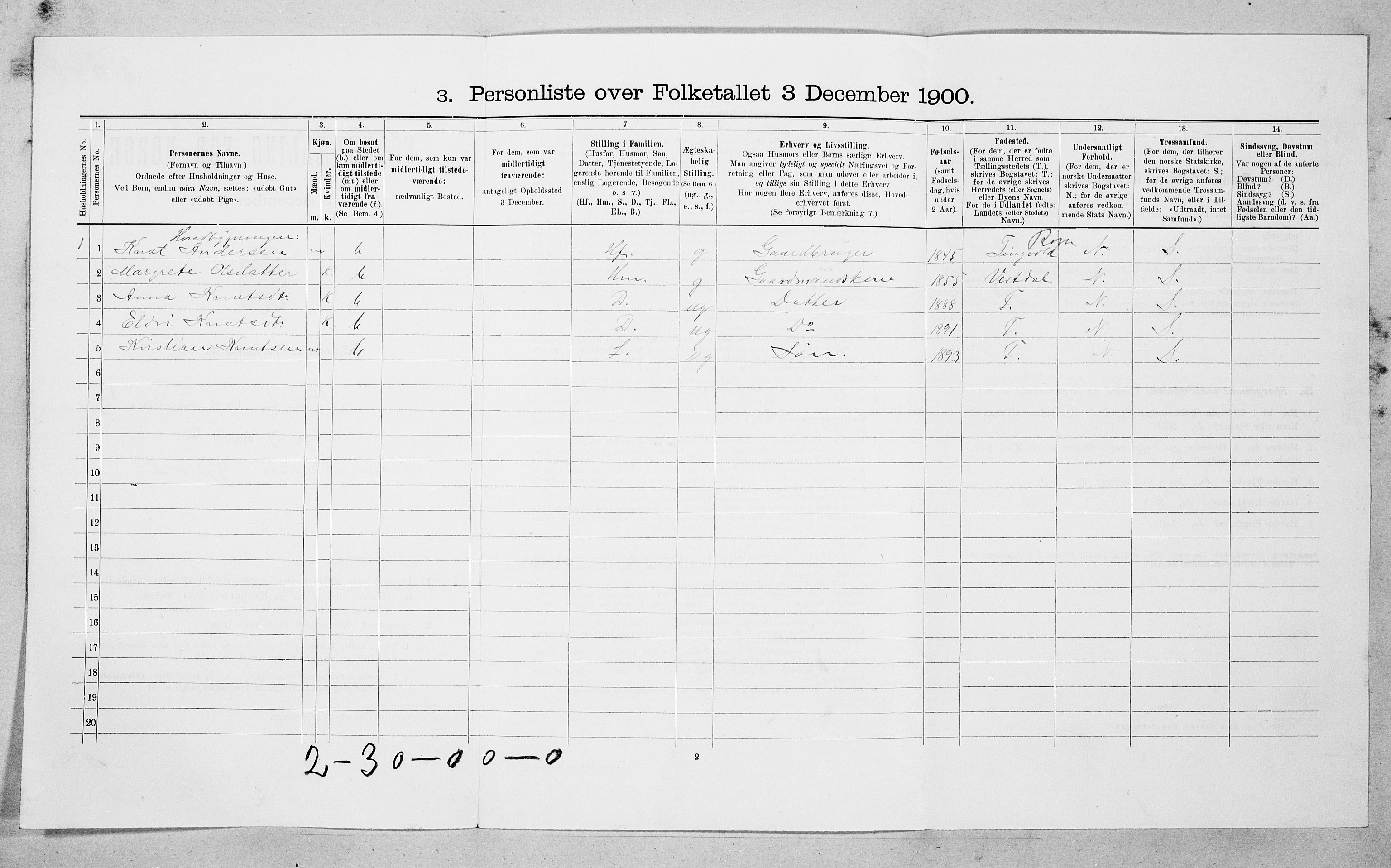 SAT, Folketelling 1900 for 1543 Nesset herred, 1900, s. 310