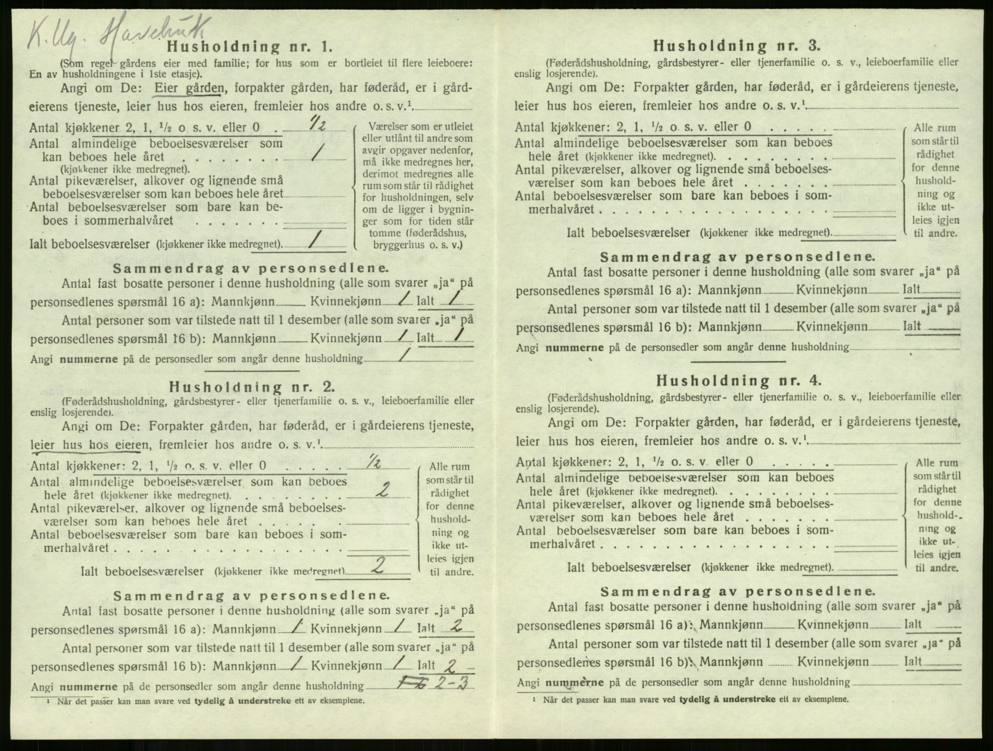 SAKO, Folketelling 1920 for 0720 Stokke herred, 1920, s. 1119