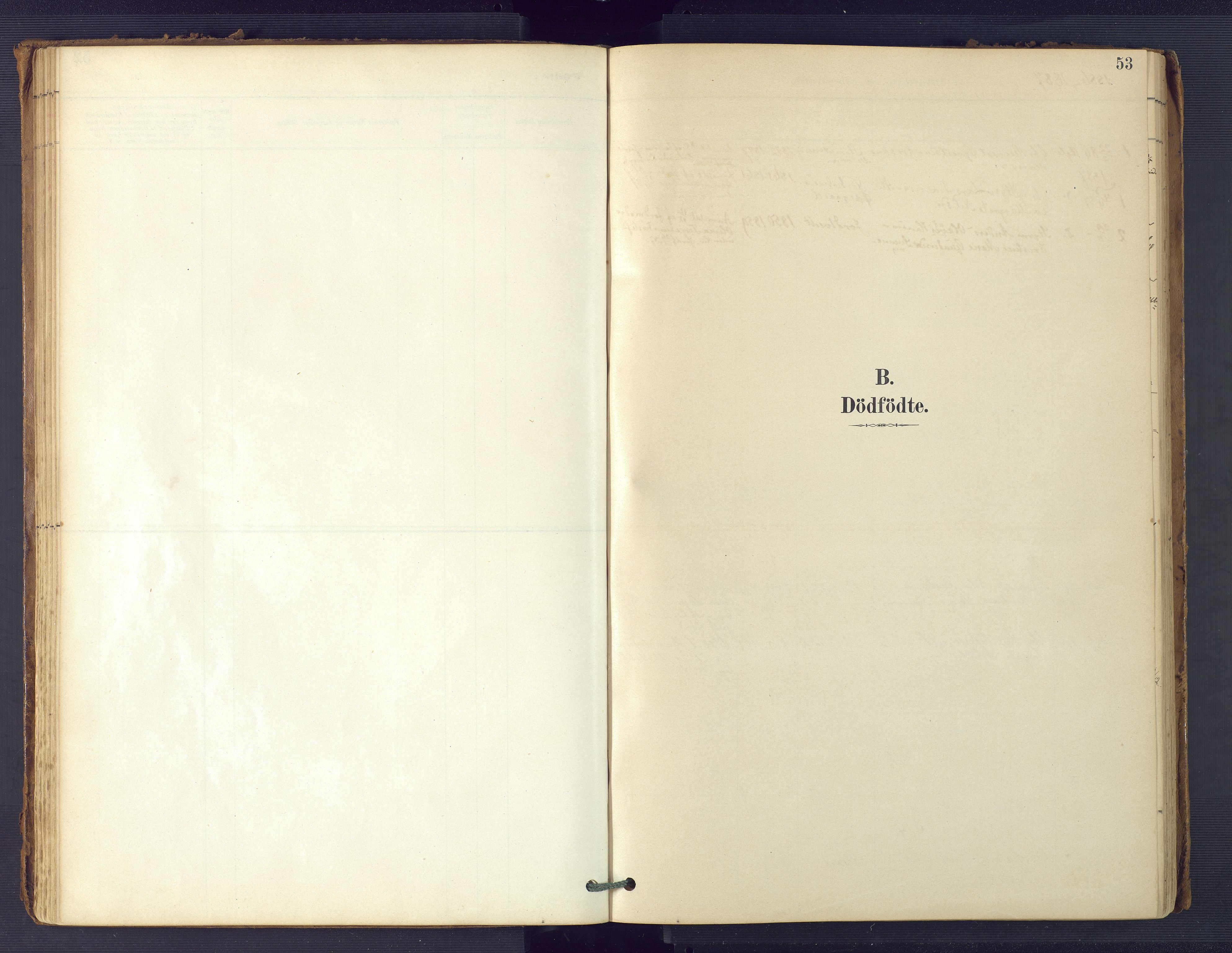 Hommedal sokneprestkontor, AV/SAK-1111-0023/F/Fa/Faa/L0003: Ministerialbok nr. A 3, 1885-1916, s. 53