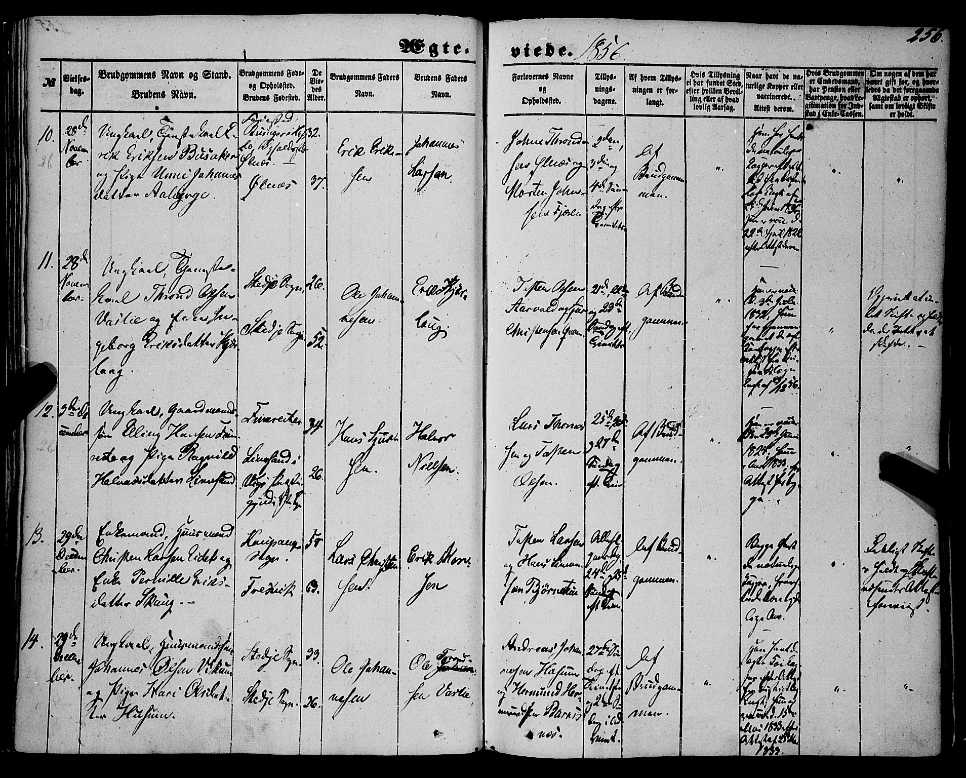 Sogndal sokneprestembete, AV/SAB-A-81301/H/Haa/Haaa/L0012II: Ministerialbok nr. A 12II, 1847-1877, s. 256