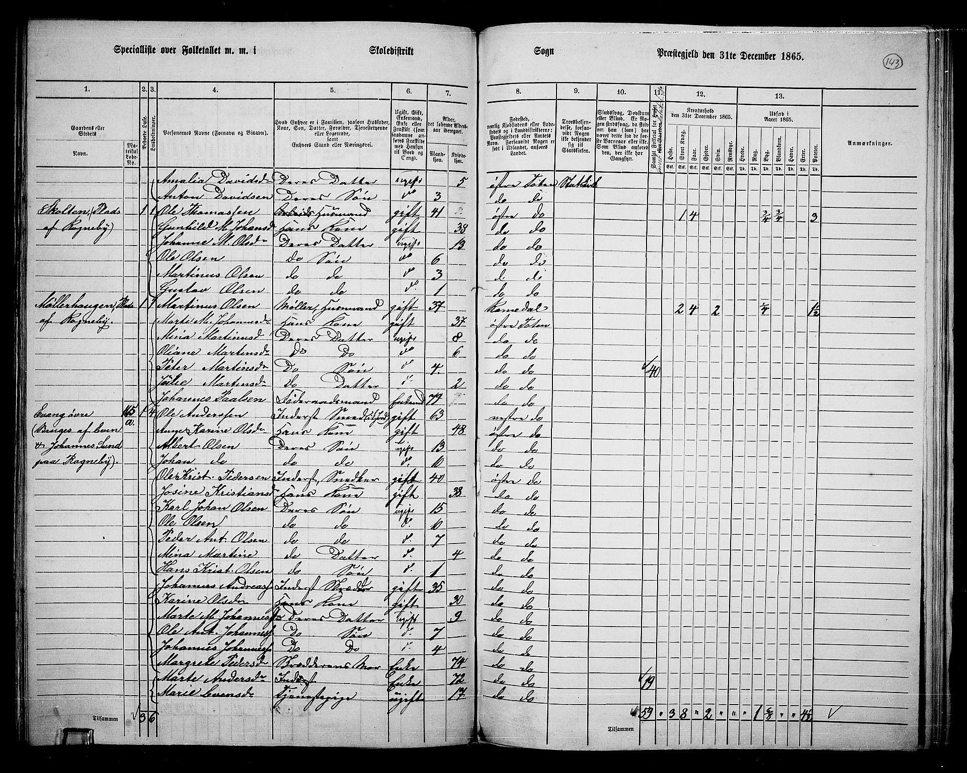 RA, Folketelling 1865 for 0528P Østre Toten prestegjeld, 1865, s. 259