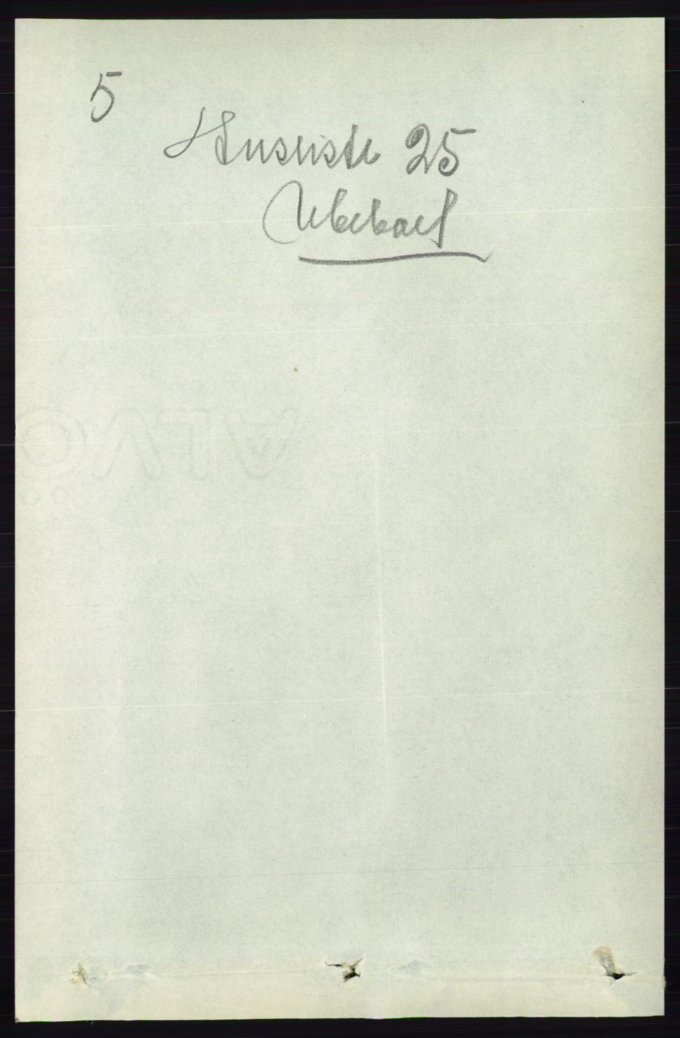 RA, Folketelling 1891 for 0824 Gransherad herred, 1891, s. 976