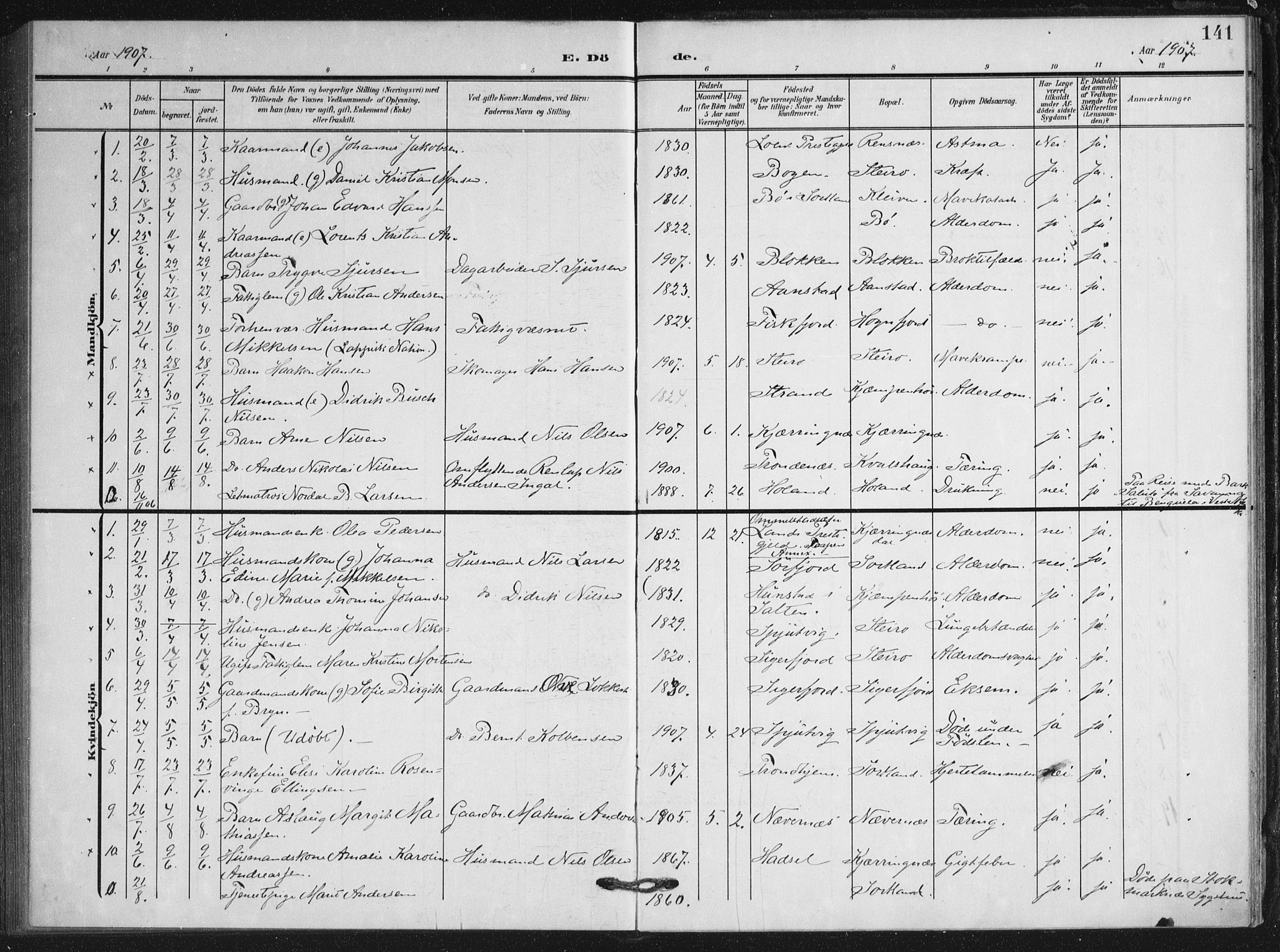 Ministerialprotokoller, klokkerbøker og fødselsregistre - Nordland, AV/SAT-A-1459/895/L1373: Ministerialbok nr. 895A08, 1905-1915, s. 141