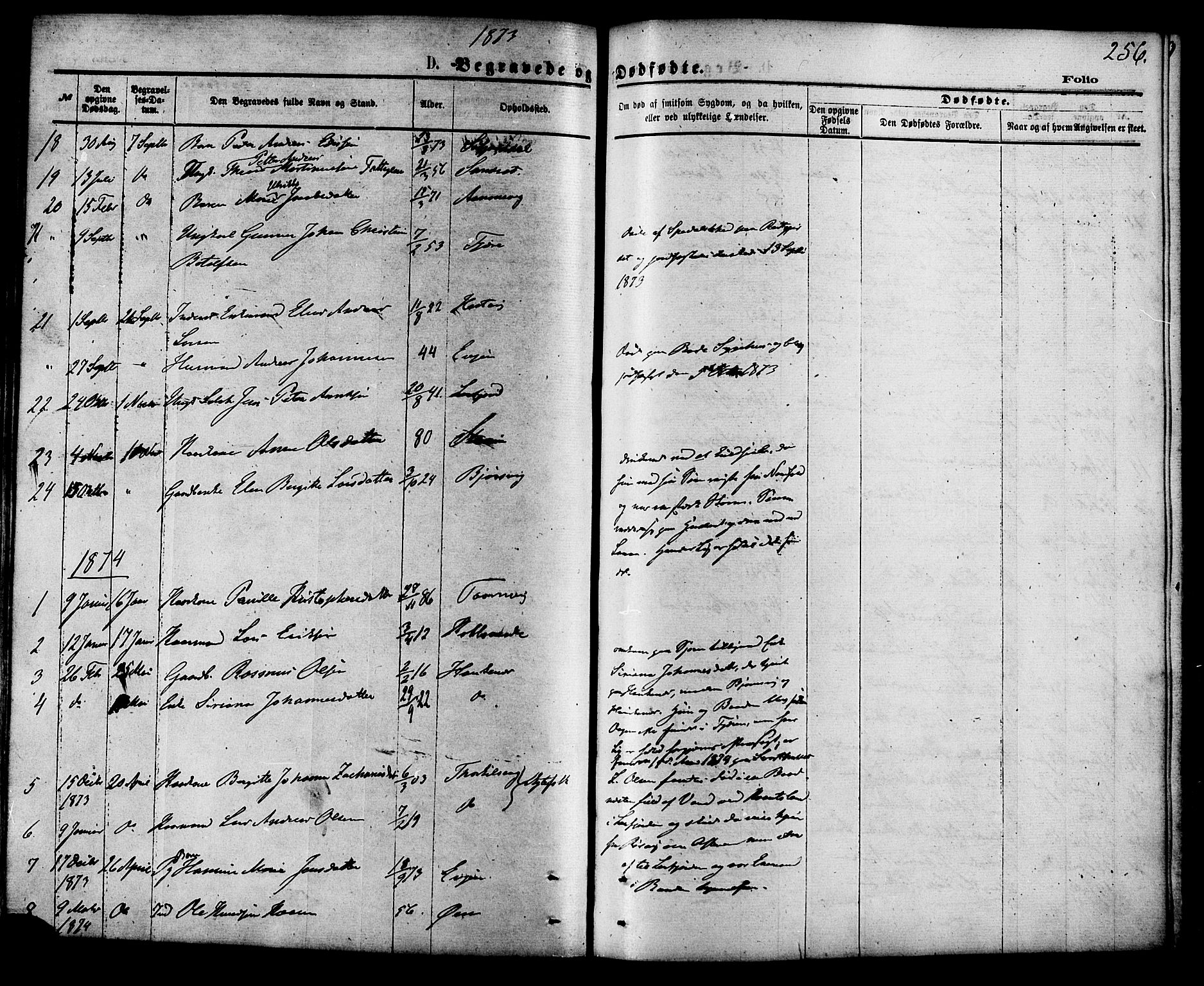 Ministerialprotokoller, klokkerbøker og fødselsregistre - Nordland, AV/SAT-A-1459/853/L0771: Ministerialbok nr. 853A10, 1870-1881, s. 256