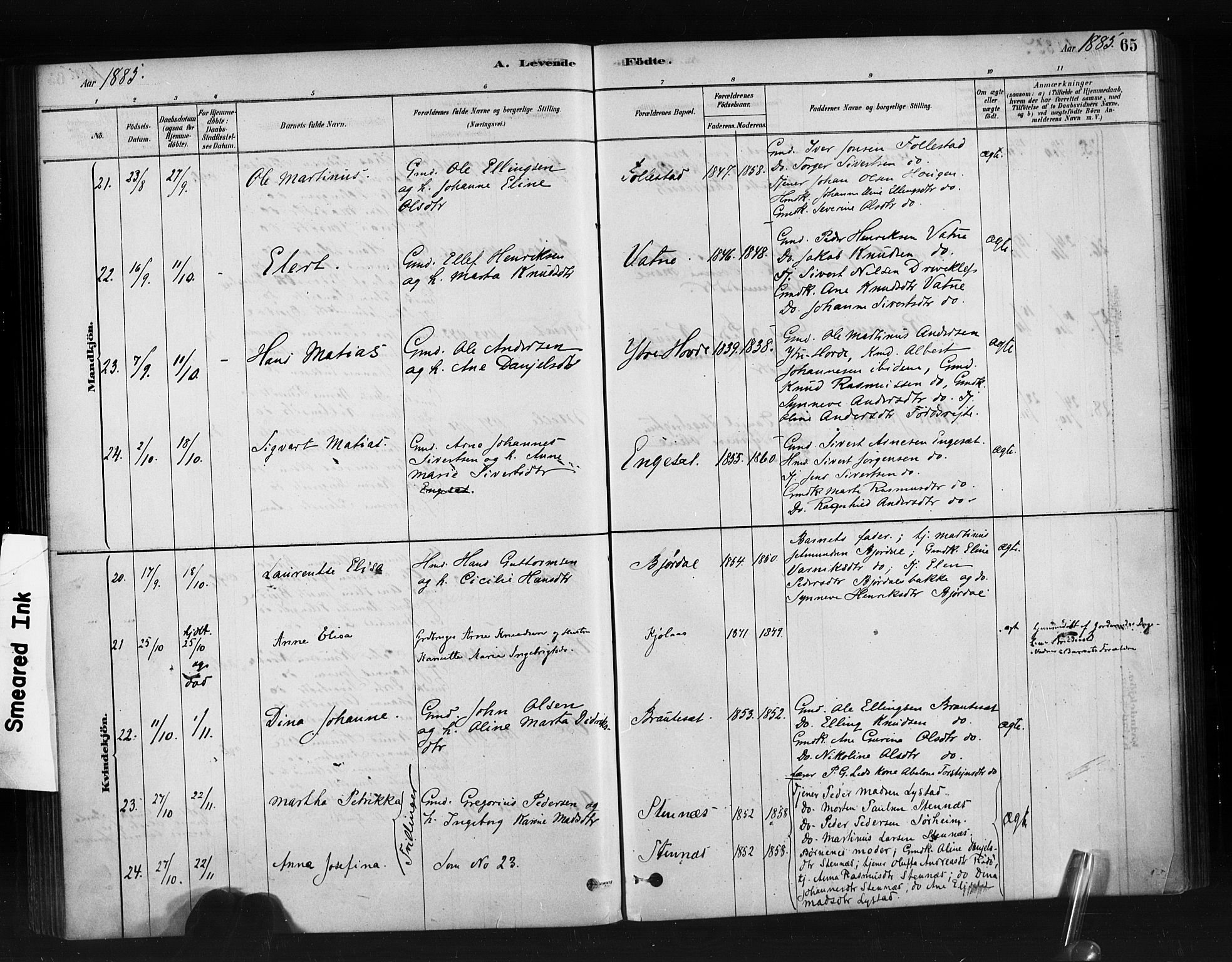 Ministerialprotokoller, klokkerbøker og fødselsregistre - Møre og Romsdal, AV/SAT-A-1454/513/L0176: Ministerialbok nr. 513A03, 1877-1889, s. 65