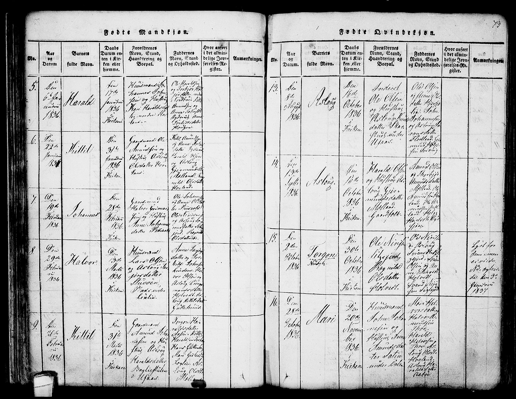 Hjartdal kirkebøker, SAKO/A-270/F/Fa/L0007: Ministerialbok nr. I 7, 1815-1843, s. 73