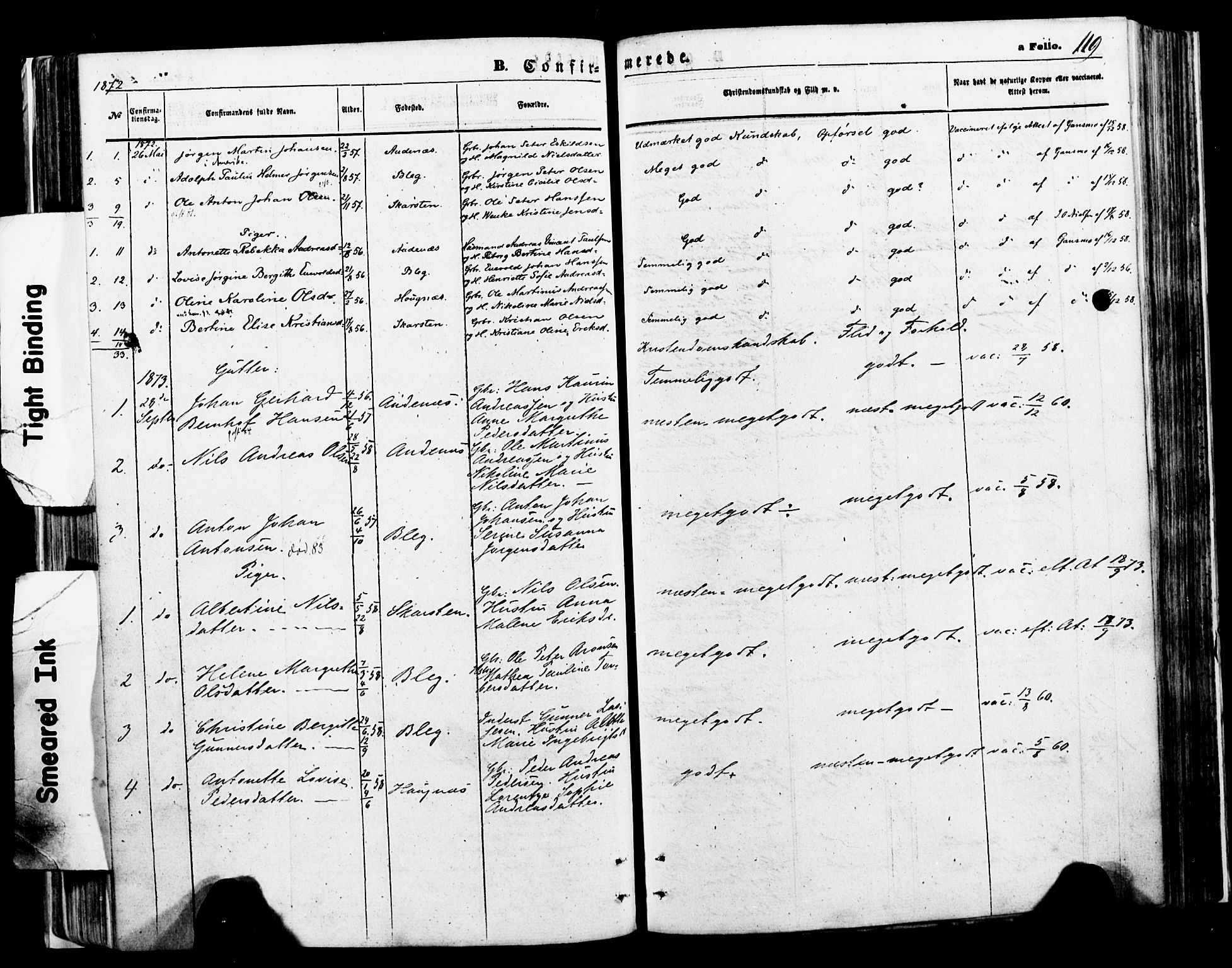 Ministerialprotokoller, klokkerbøker og fødselsregistre - Nordland, SAT/A-1459/897/L1398: Ministerialbok nr. 897A05 /2, 1867-1880, s. 119