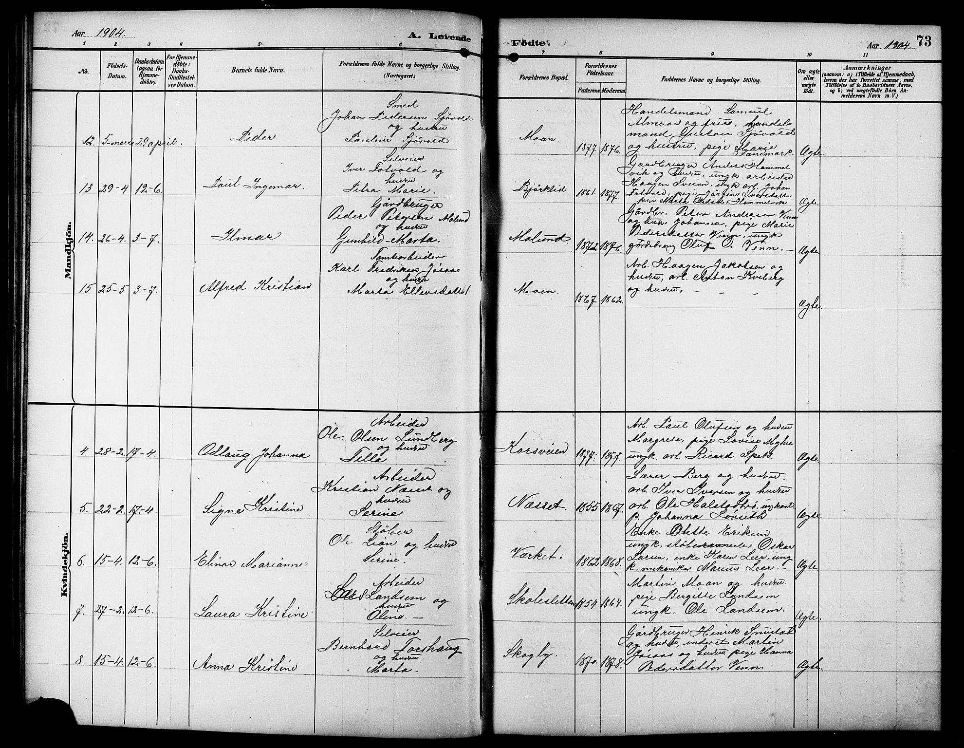 Ministerialprotokoller, klokkerbøker og fødselsregistre - Sør-Trøndelag, SAT/A-1456/617/L0431: Klokkerbok nr. 617C01, 1889-1910, s. 73