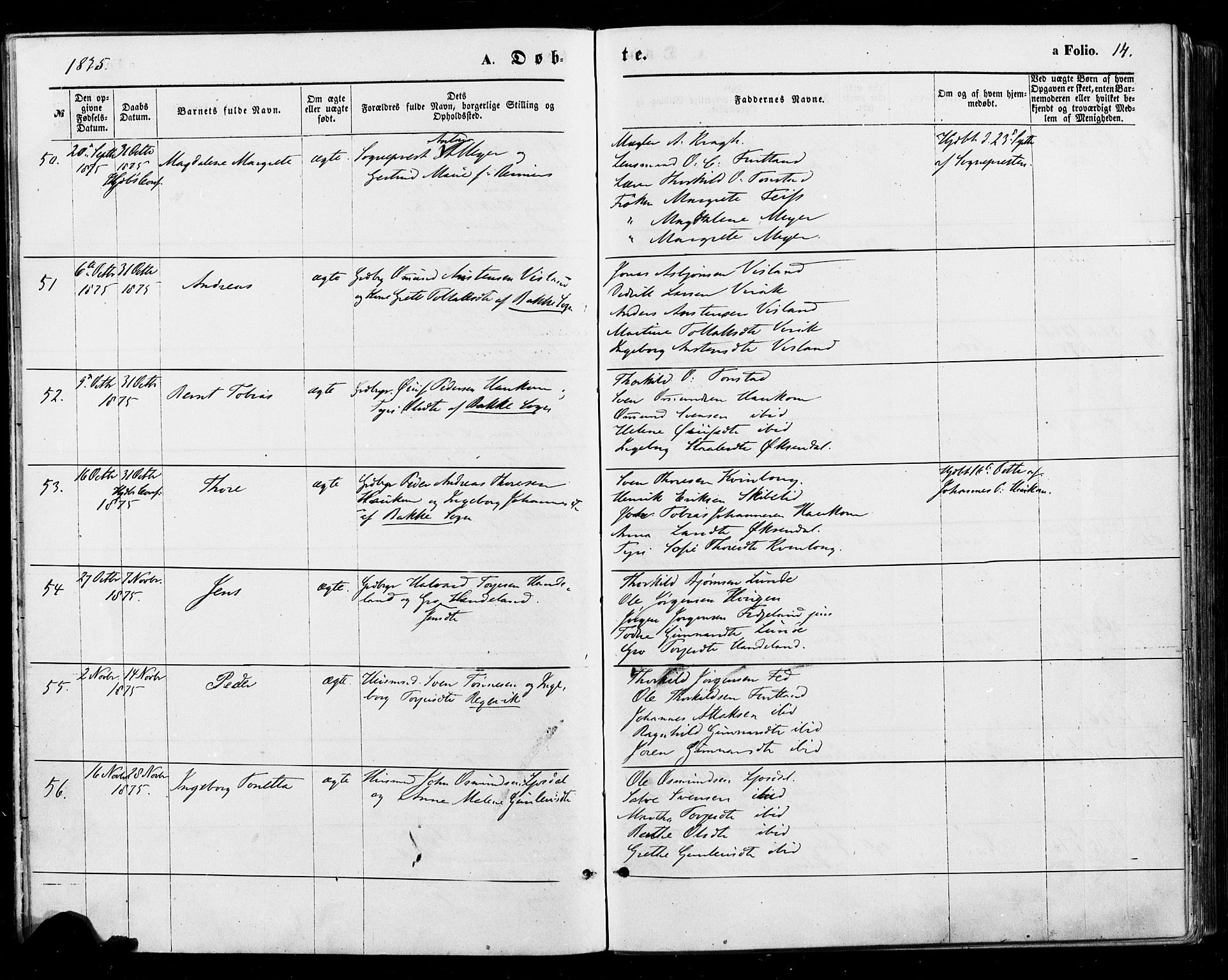 Sirdal sokneprestkontor, AV/SAK-1111-0036/F/Fa/Fab/L0003: Ministerialbok nr. A 3, 1874-1886, s. 14