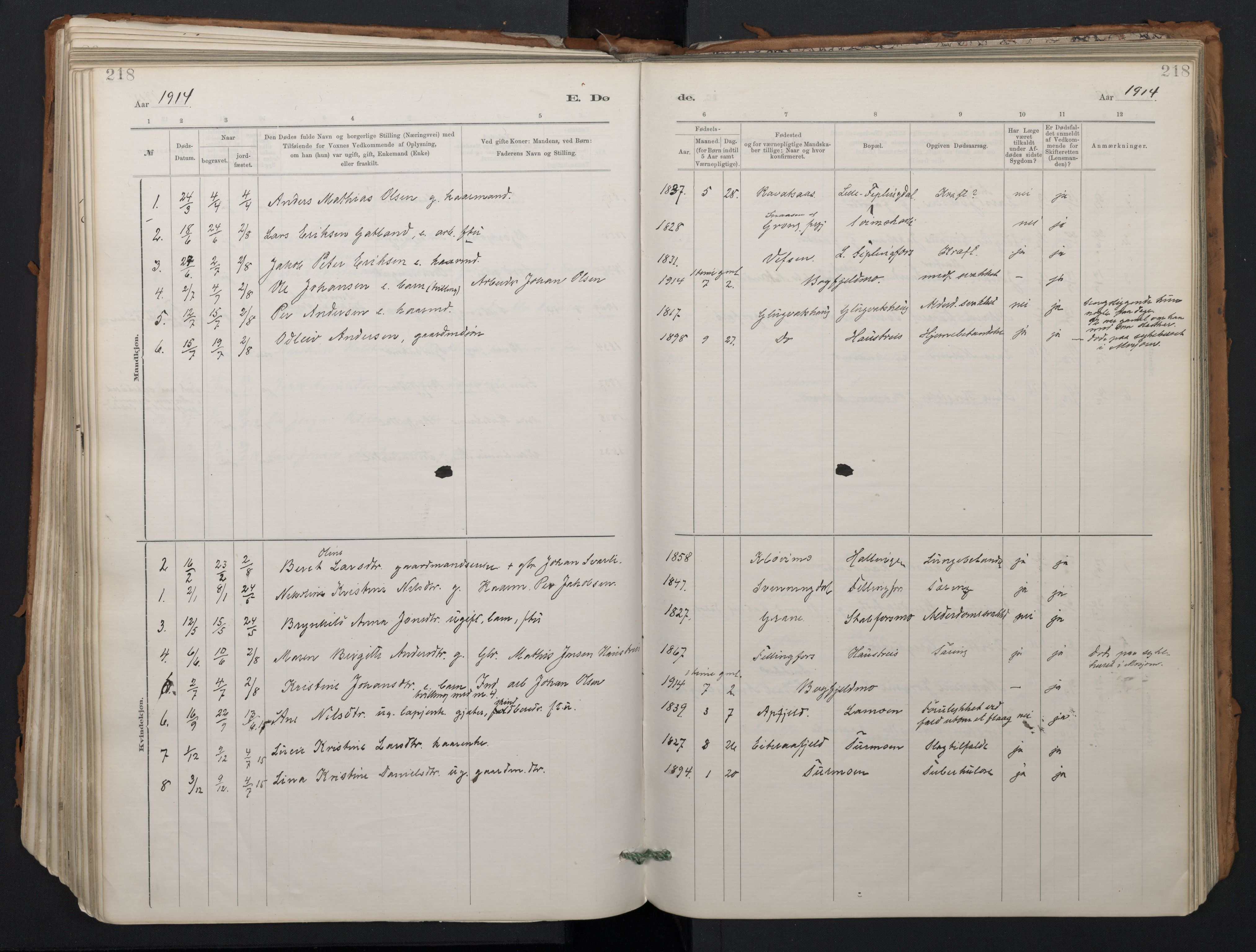 Ministerialprotokoller, klokkerbøker og fødselsregistre - Nordland, AV/SAT-A-1459/824/L0338: Ministerialbok nr. 824A01, 1880-1915, s. 218