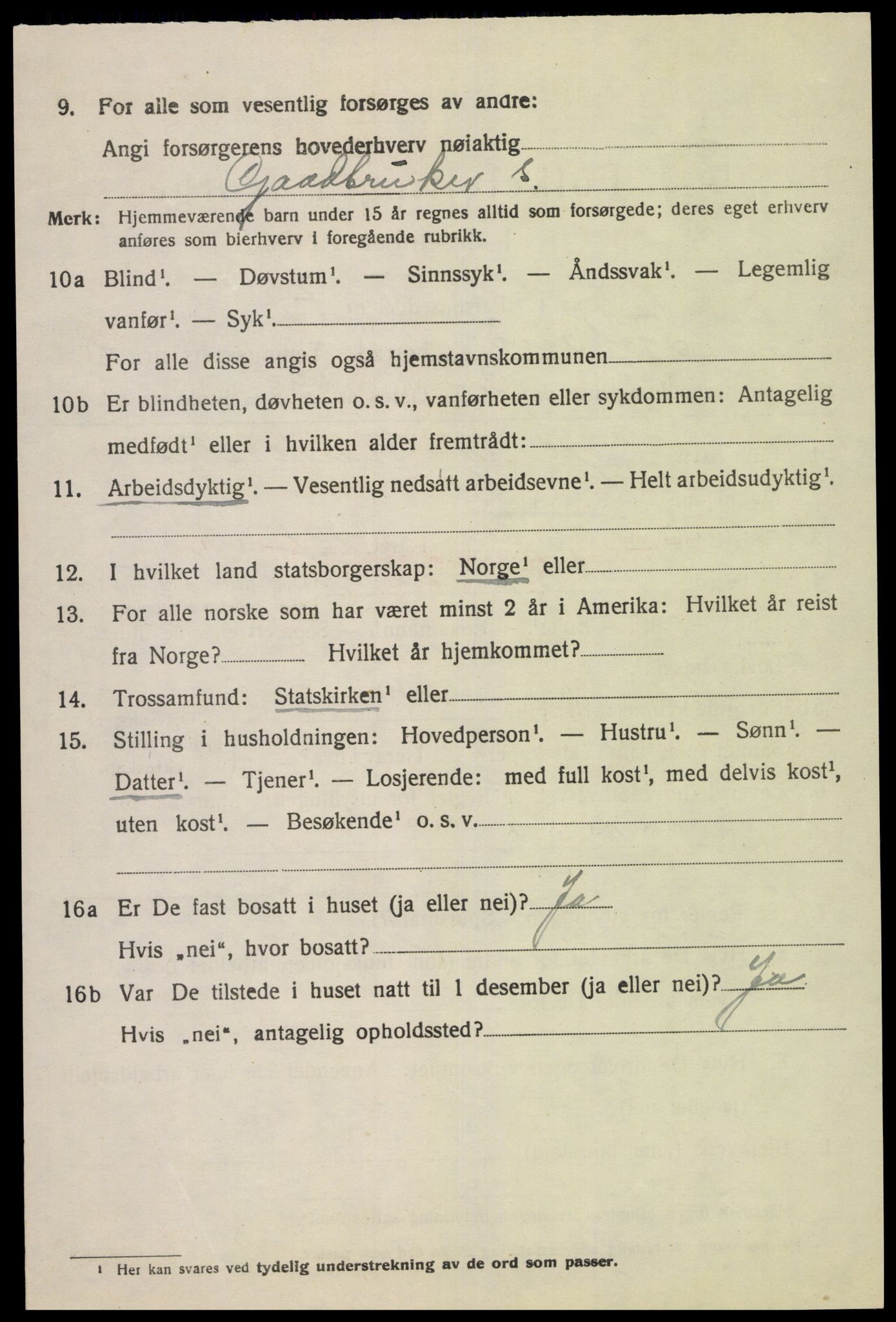 SAK, Folketelling 1920 for 1036 Fjotland herred, 1920, s. 2019