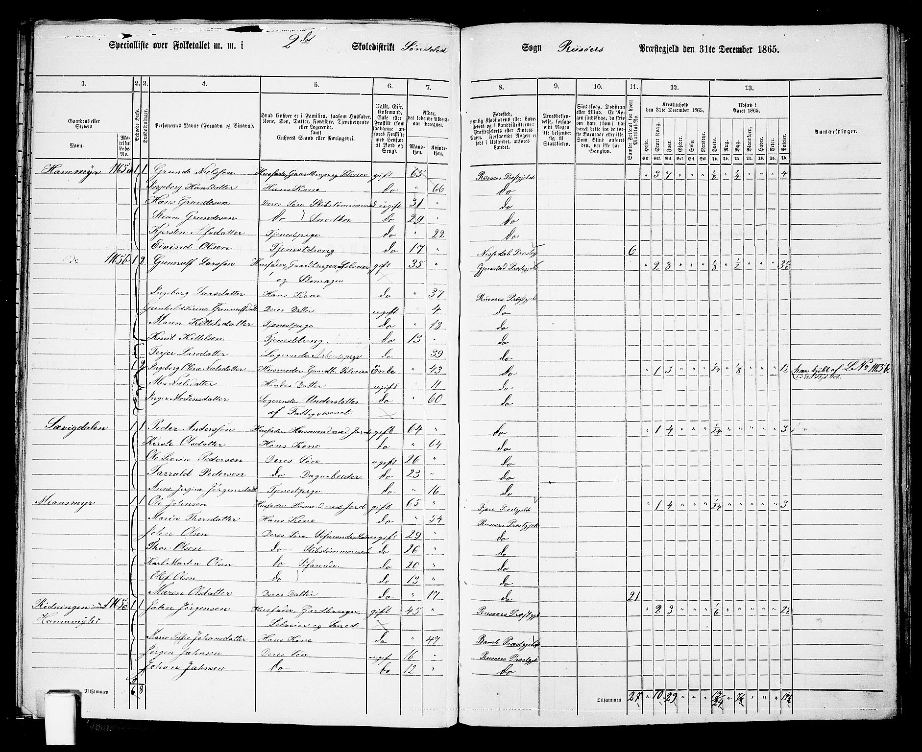 RA, Folketelling 1865 for 0913L Risør prestegjeld, Søndeled sokn, 1865, s. 29