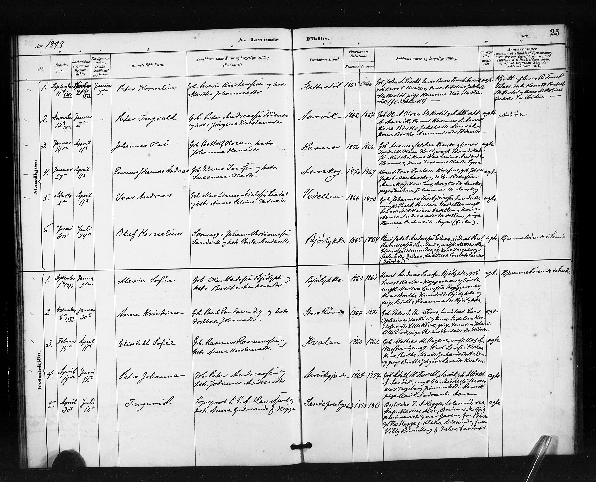 Ministerialprotokoller, klokkerbøker og fødselsregistre - Møre og Romsdal, AV/SAT-A-1454/504/L0056: Ministerialbok nr. 504A03, 1884-1904, s. 25