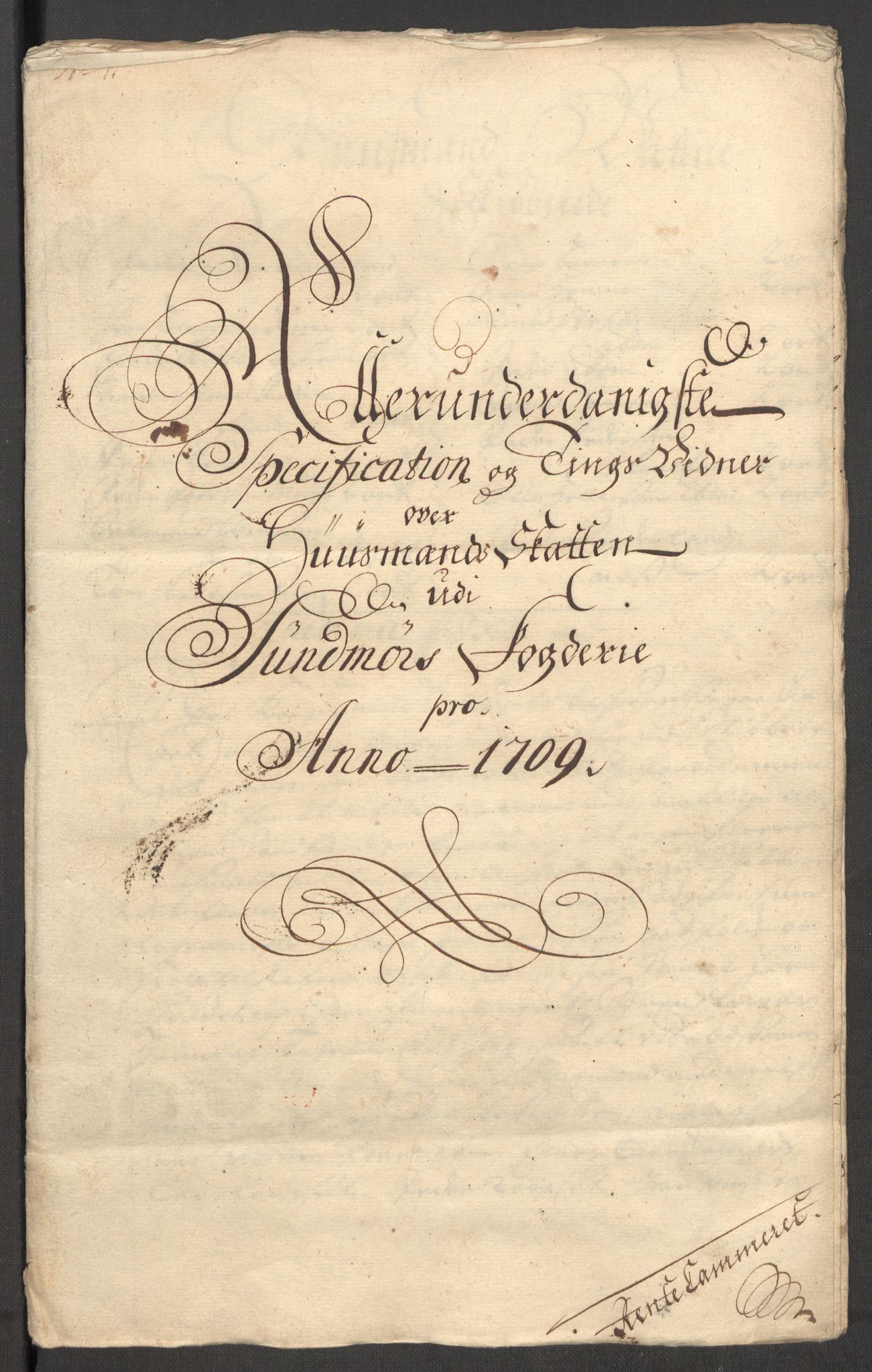 Rentekammeret inntil 1814, Reviderte regnskaper, Fogderegnskap, AV/RA-EA-4092/R54/L3562: Fogderegnskap Sunnmøre, 1708-1709, s. 260