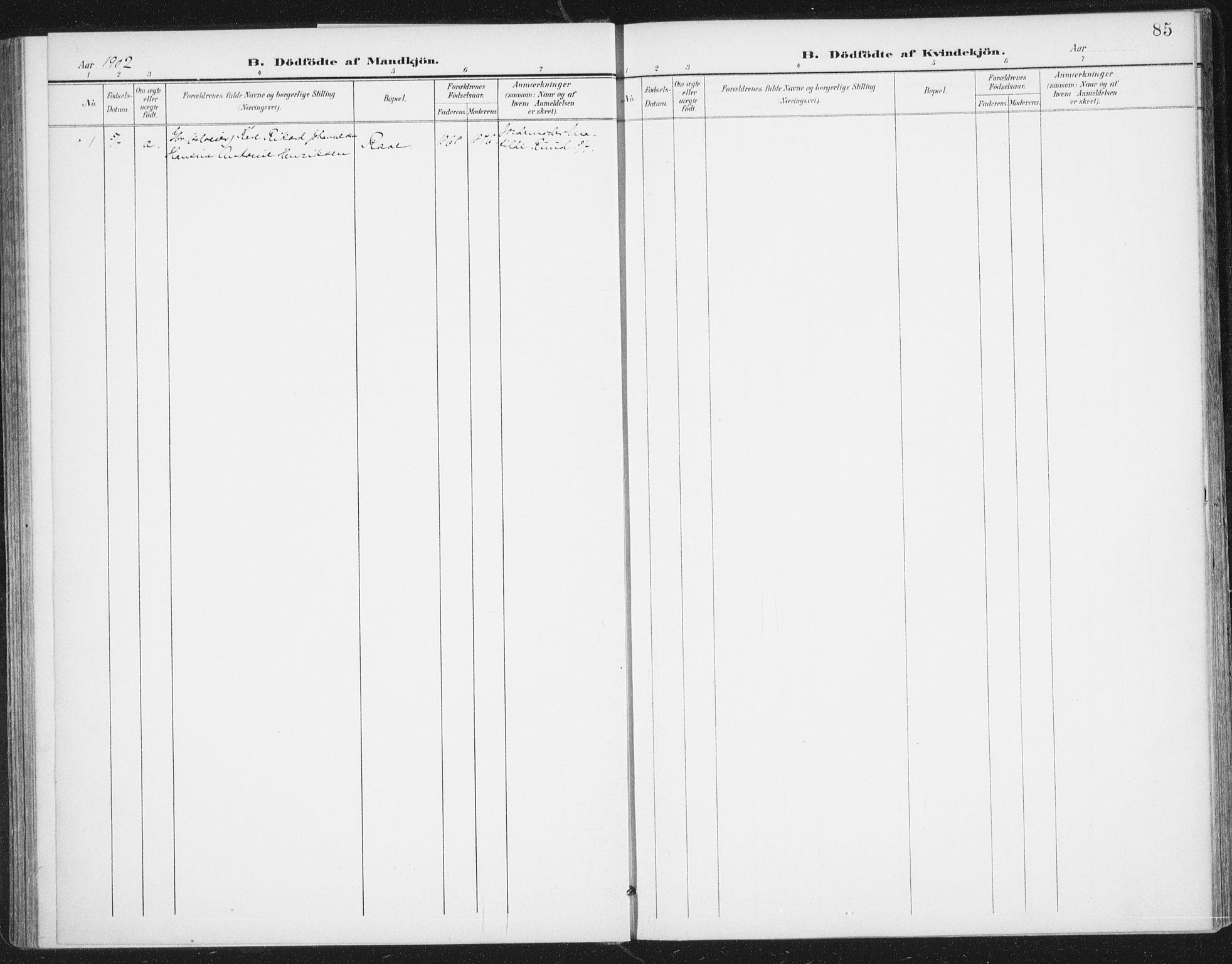 Rolvsøy prestekontor Kirkebøker, AV/SAO-A-2004/F/Fa/L0001: Ministerialbok nr. 1, 1901-1909, s. 85