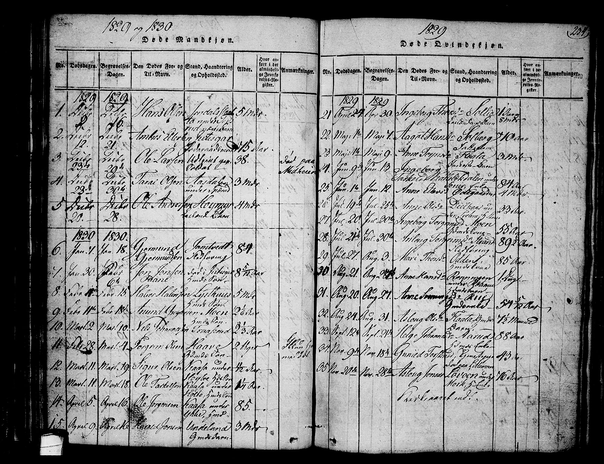 Heddal kirkebøker, SAKO/A-268/F/Fa/L0005: Ministerialbok nr. I 5, 1814-1837, s. 233-234