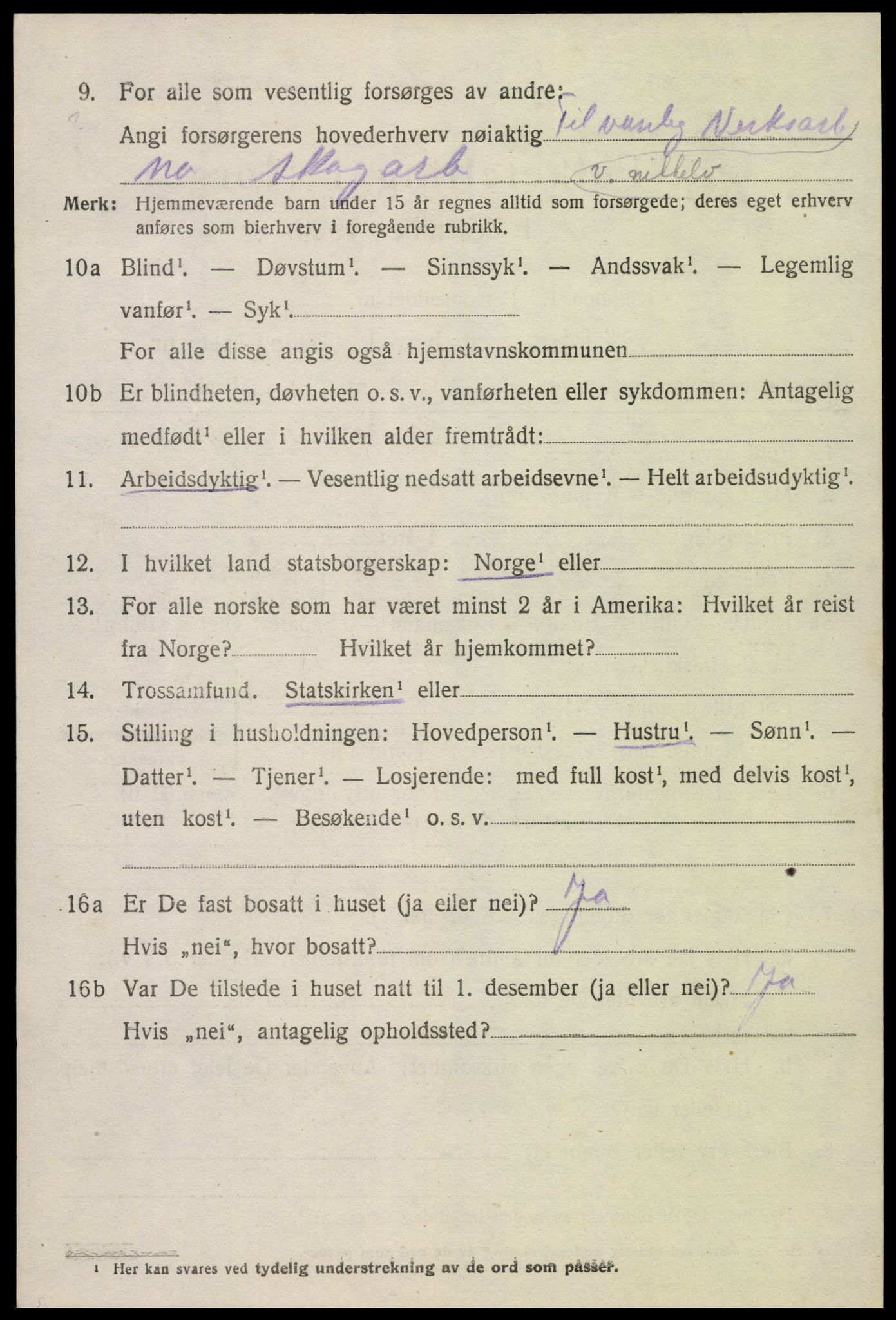 SAK, Folketelling 1920 for 0936 Hornnes herred, 1920, s. 962