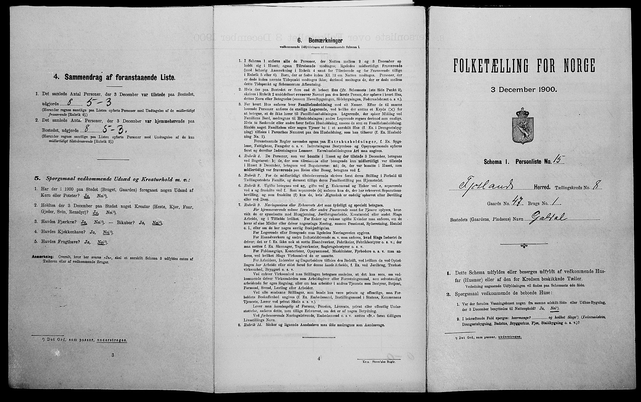 SAK, Folketelling 1900 for 1036 Fjotland herred, 1900, s. 323
