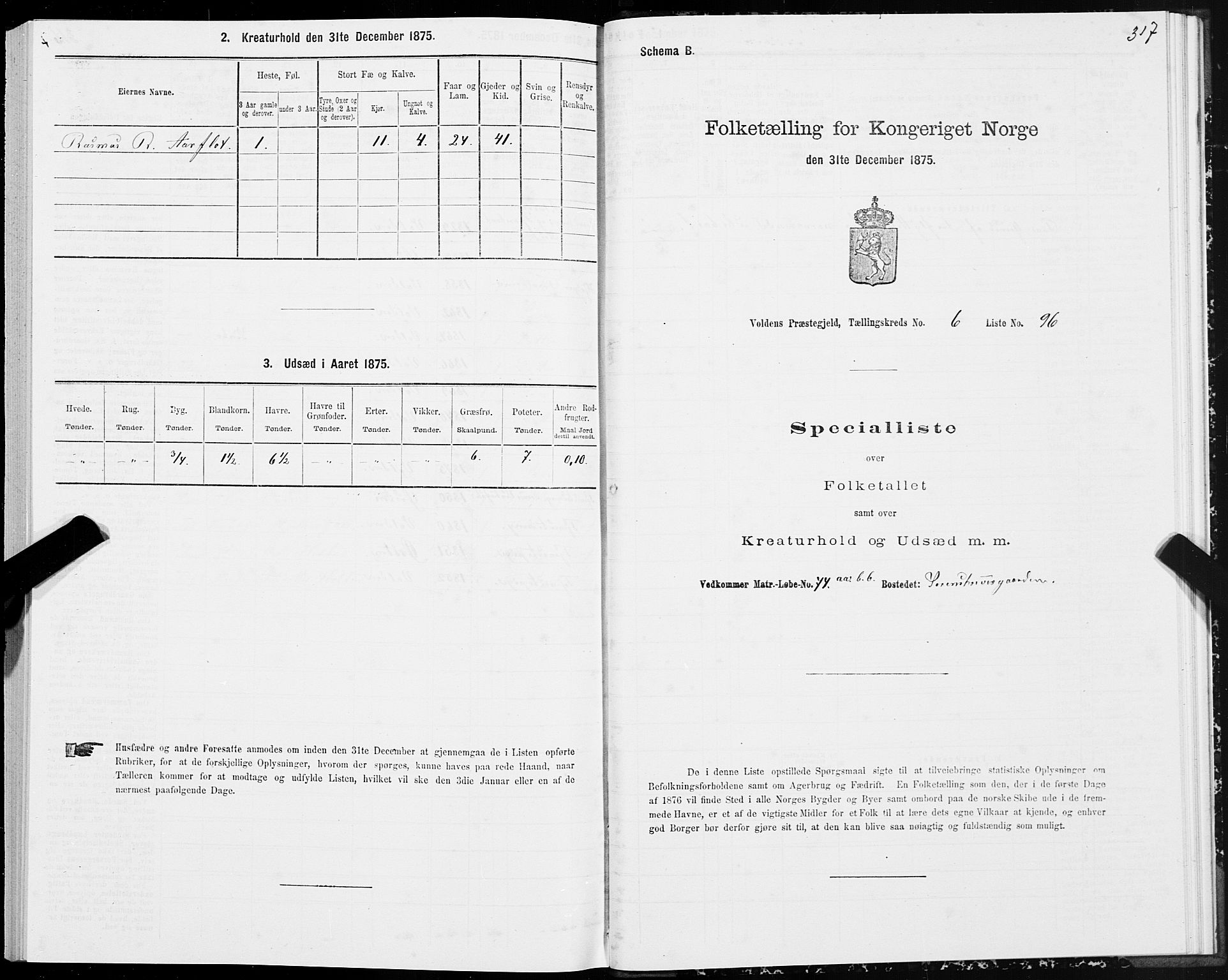 SAT, Folketelling 1875 for 1519P Volda prestegjeld, 1875, s. 4317