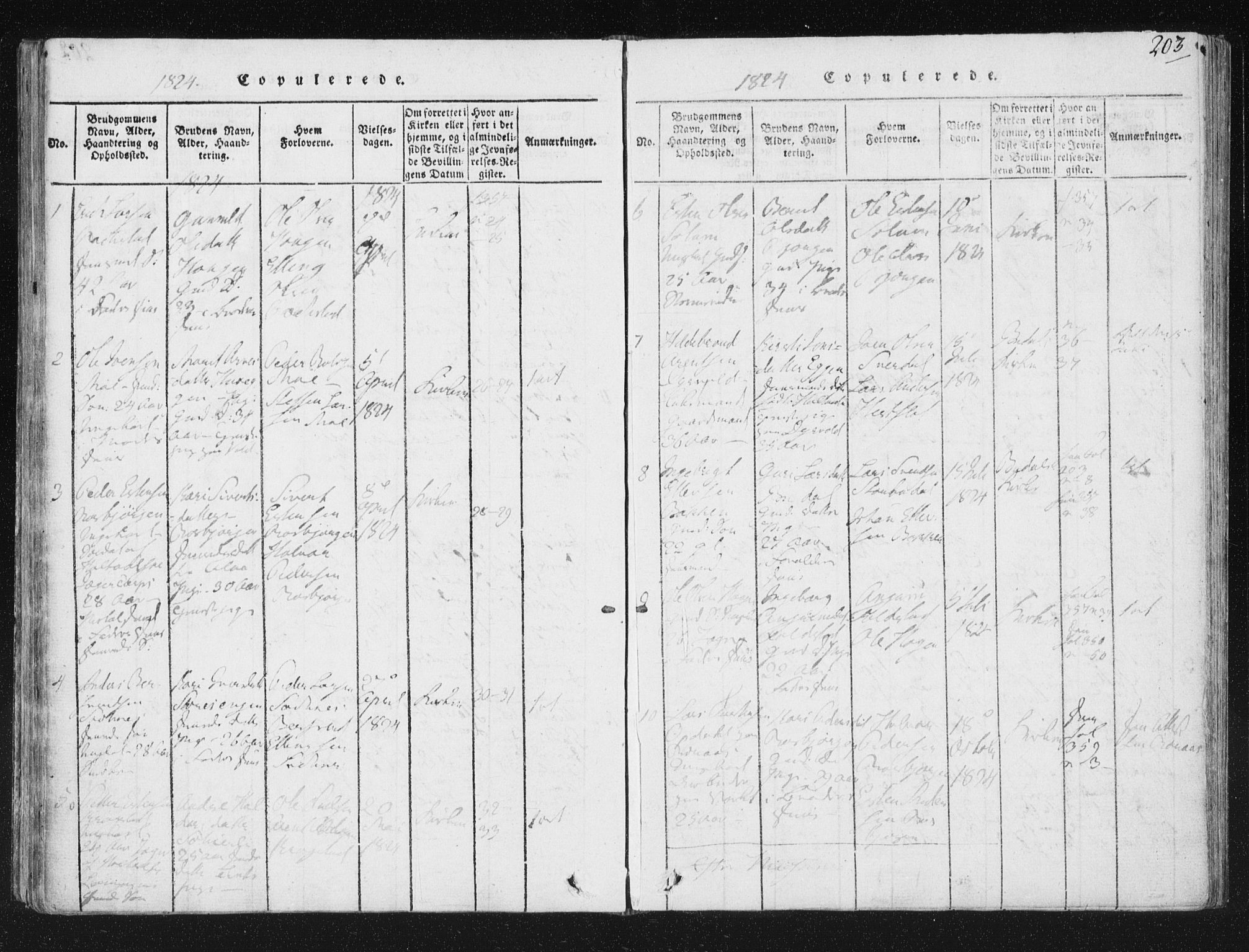 Ministerialprotokoller, klokkerbøker og fødselsregistre - Sør-Trøndelag, SAT/A-1456/687/L0996: Ministerialbok nr. 687A04, 1816-1842, s. 203