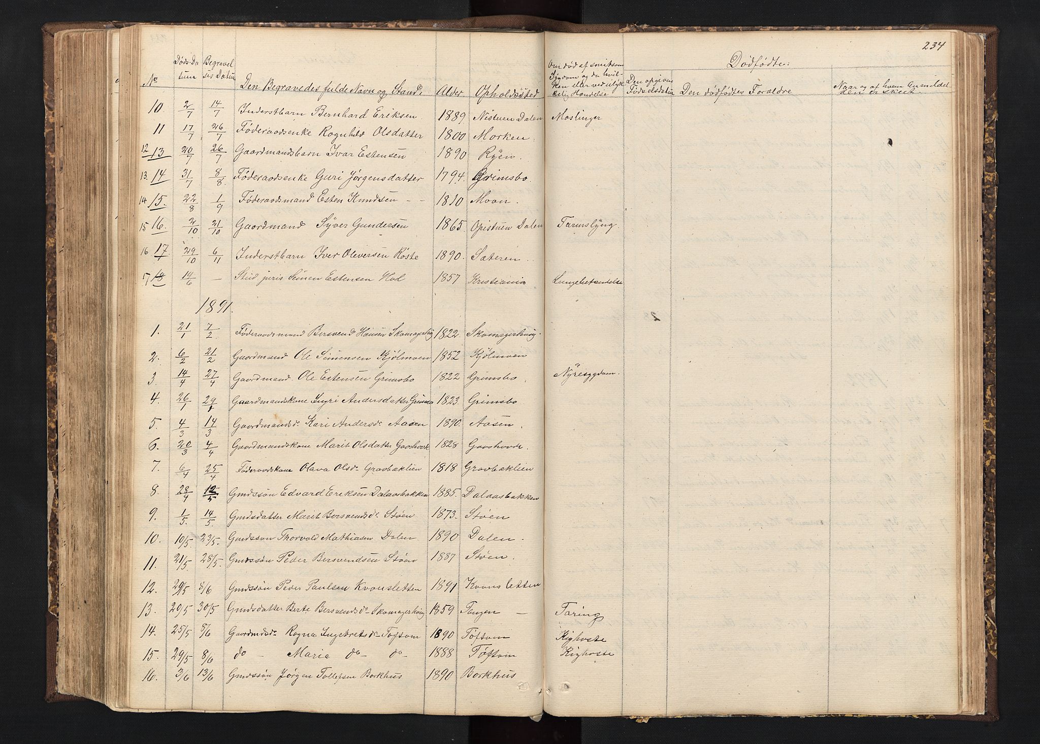 Alvdal prestekontor, AV/SAH-PREST-060/H/Ha/Hab/L0001: Klokkerbok nr. 1, 1857-1893, s. 234